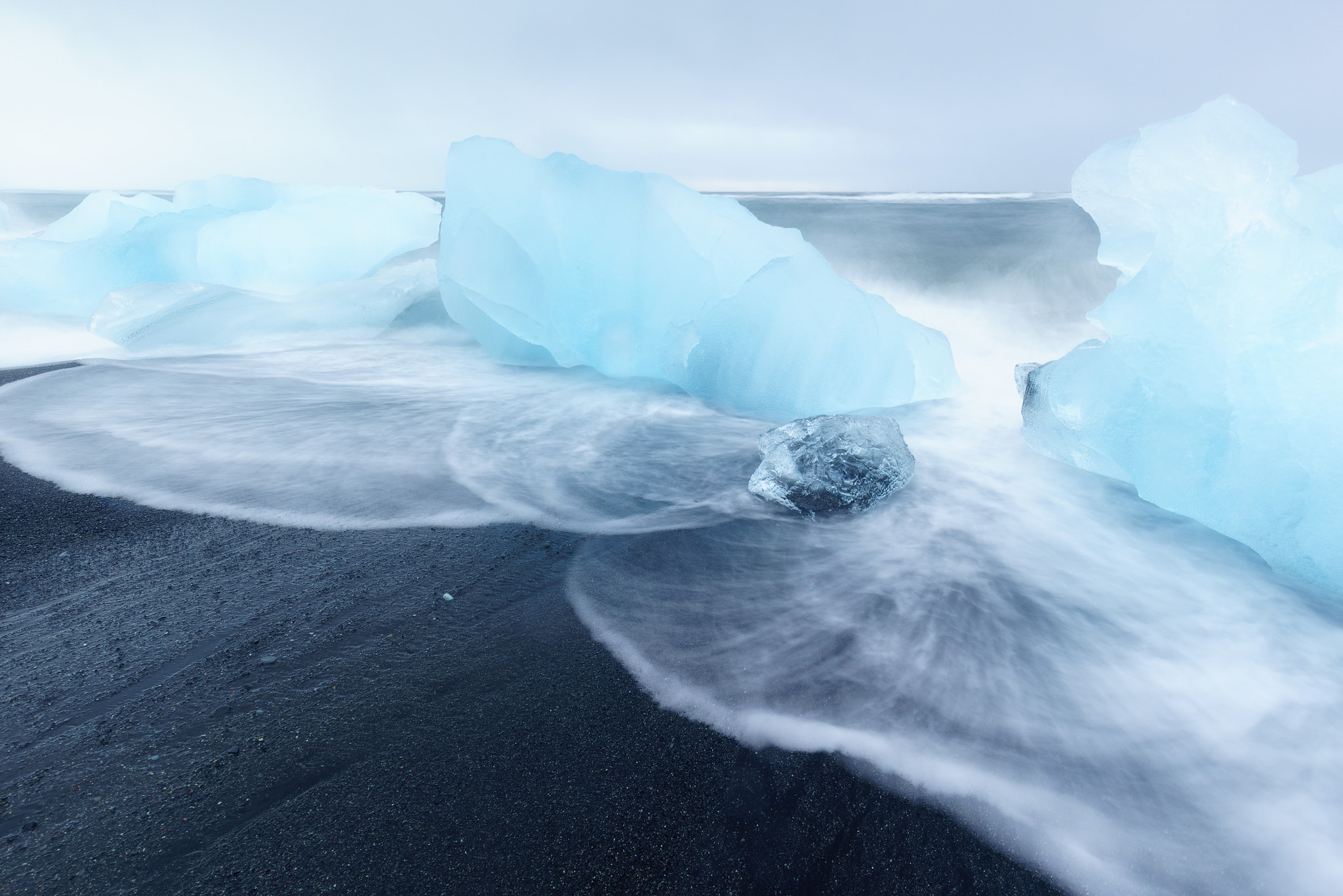 Sony a7R sample photo. Ice flowers photography
