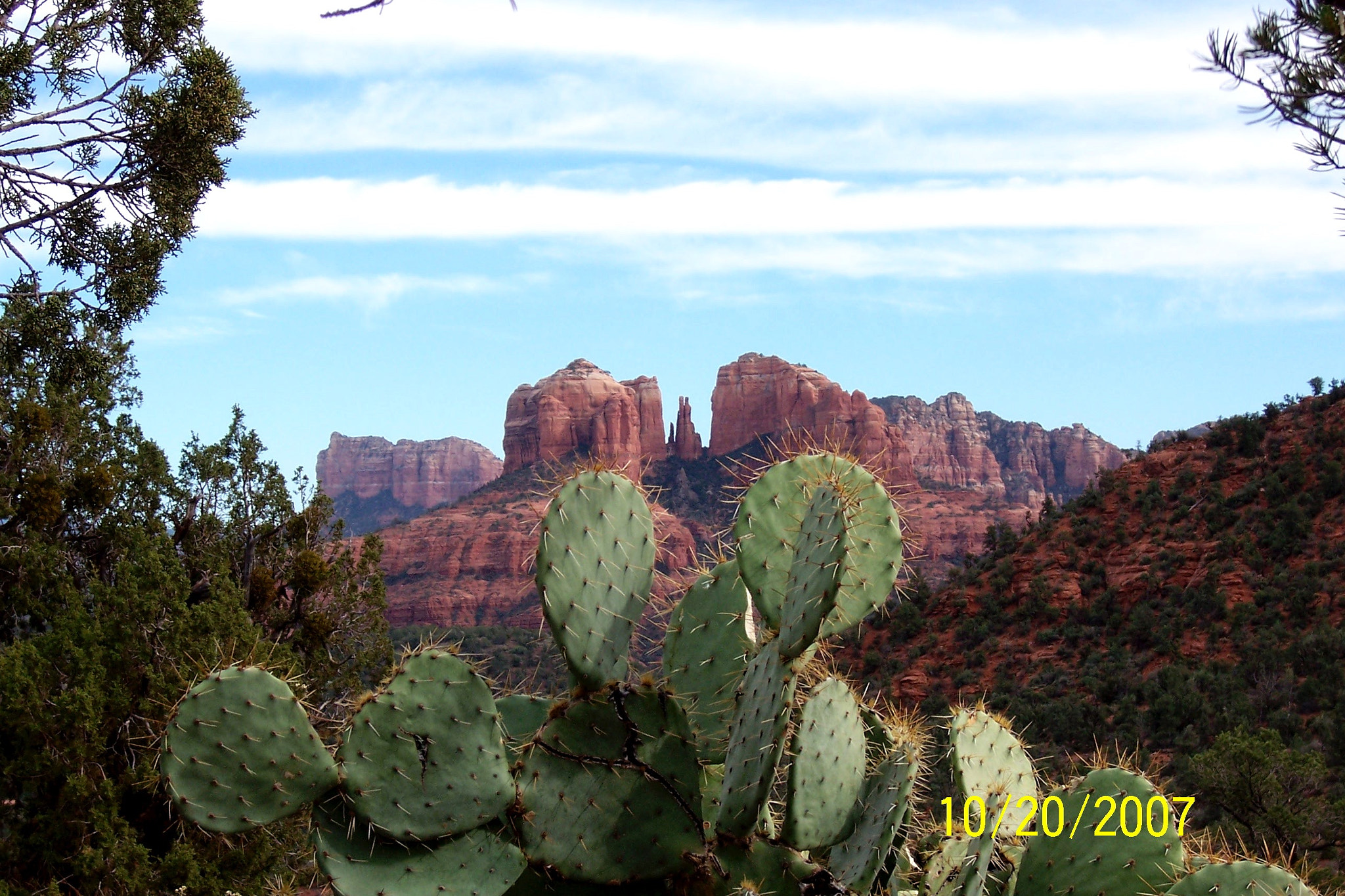 Kodak Z730 ZOOM DIGITAL CAMERA sample photo. Cr & prickly pear photography