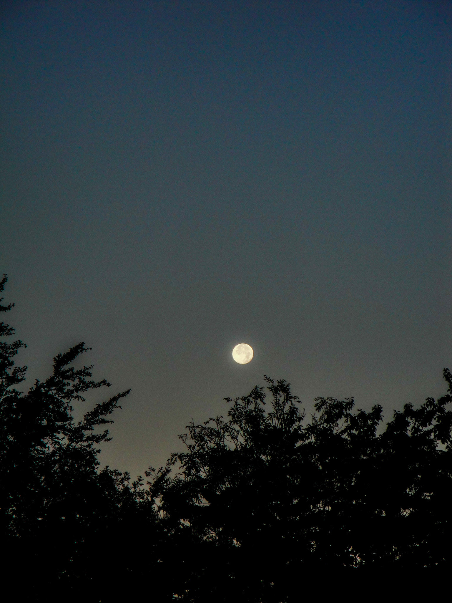 Sony DSC-W270 sample photo. Moon photography