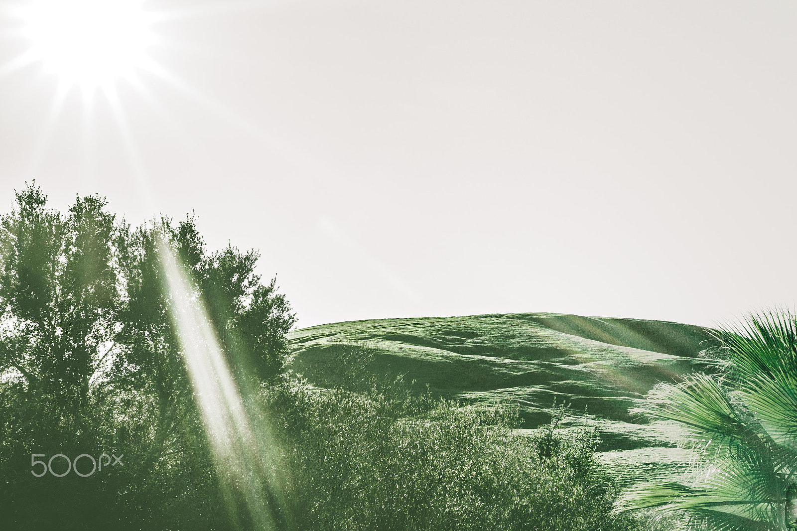 Sigma 30mm F1.4 EX DC HSM sample photo. Green rolling hills in california photography