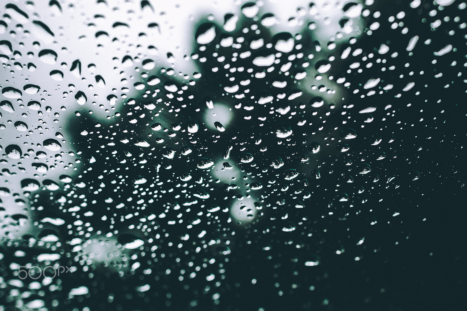 Sigma 30mm F1.4 EX DC HSM sample photo. Raindrops on window photography