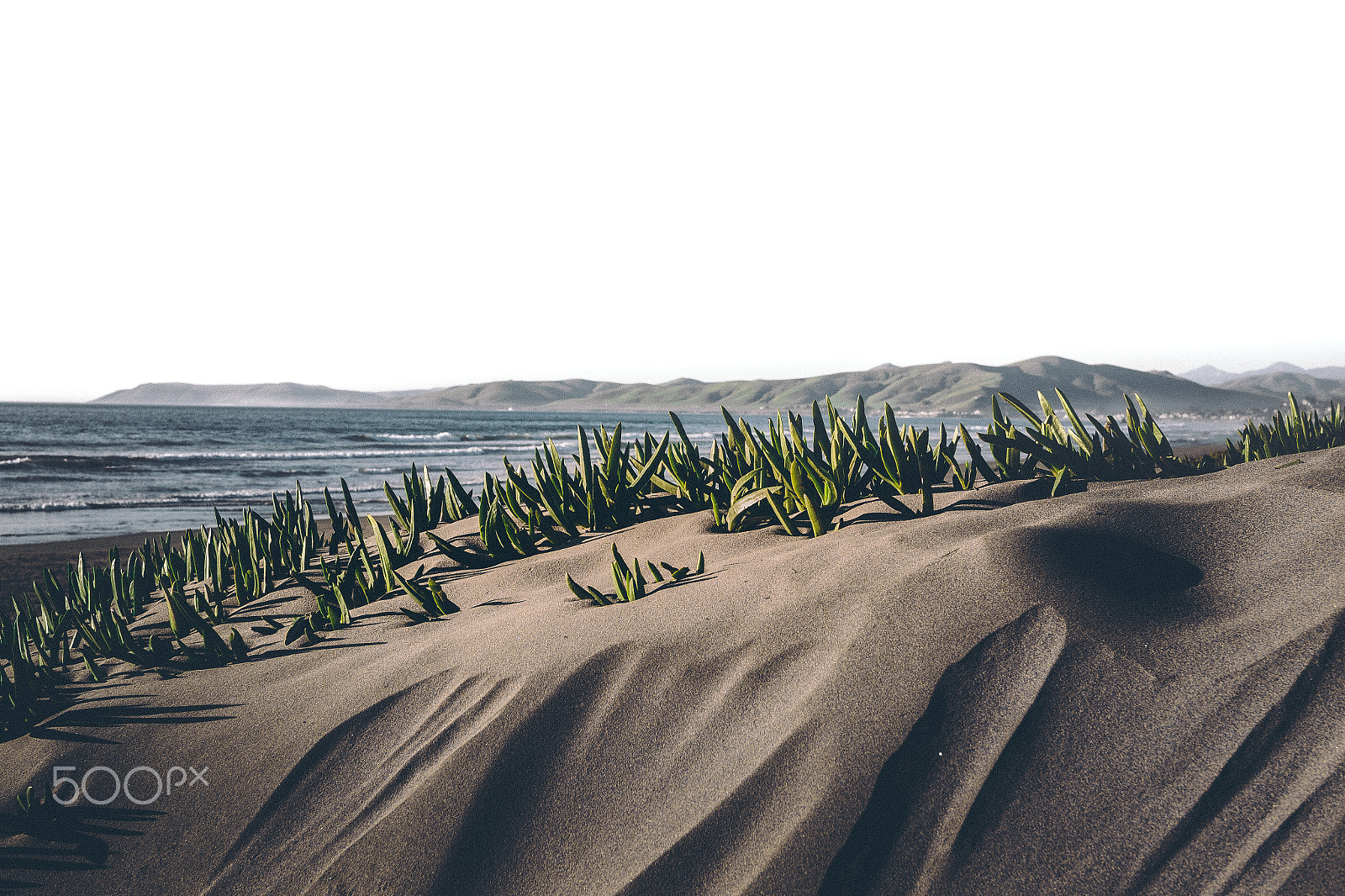 Sigma 30mm F1.4 EX DC HSM sample photo. Beach sand and seashore photography