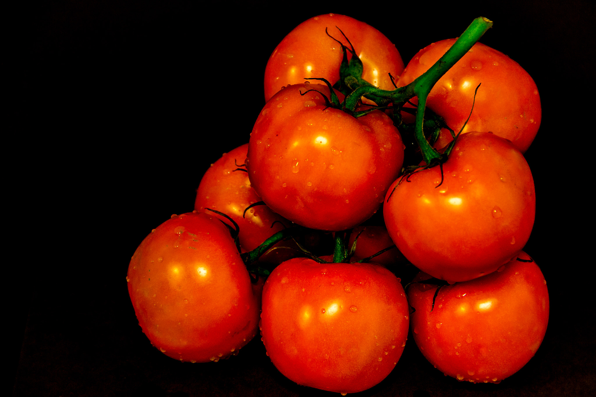 Canon EF-S 18-135mm F3.5-5.6 IS sample photo. Red tomato photography