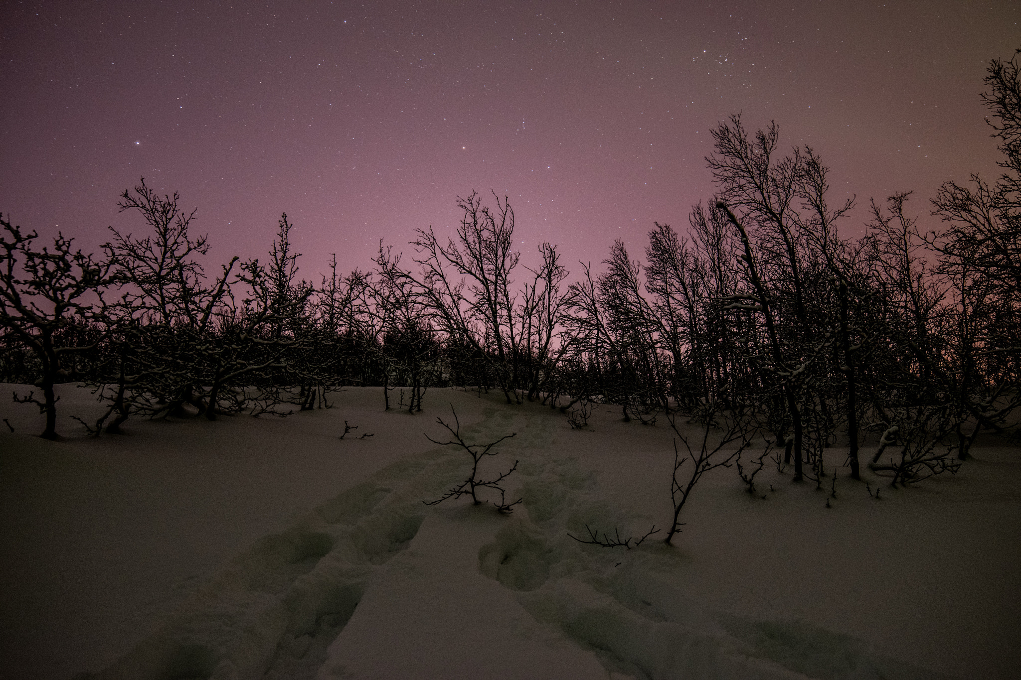 Samyang 14mm F2.8 ED AS IF UMC sample photo. Starry night photography