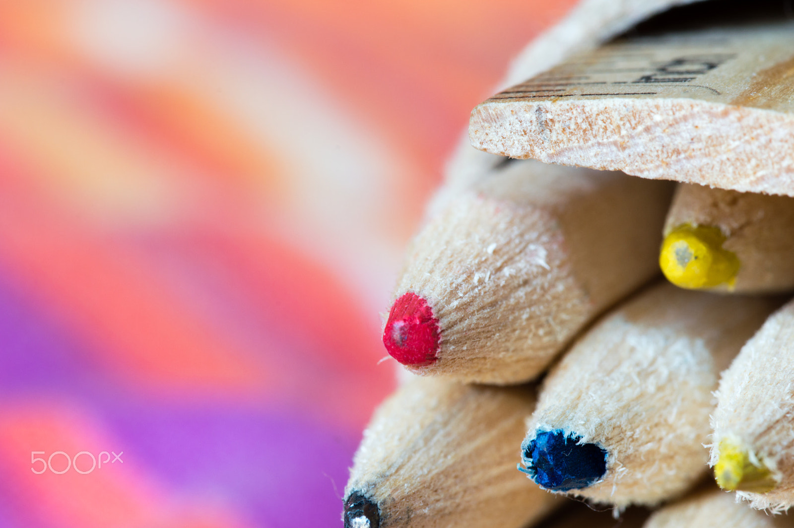Sigma 105mm F2.8 EX DG OS HSM sample photo. Pastelli photography