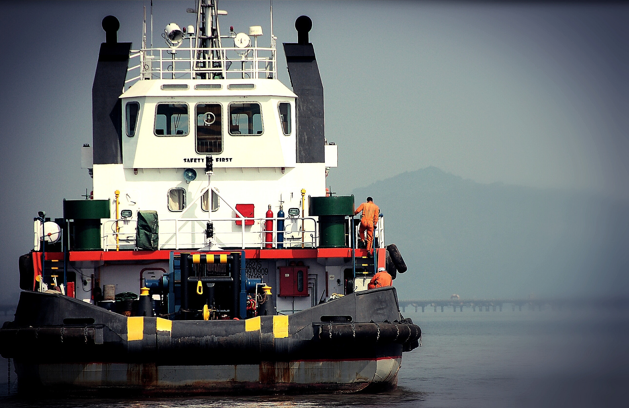 Nikon D50 sample photo. The mule  photography