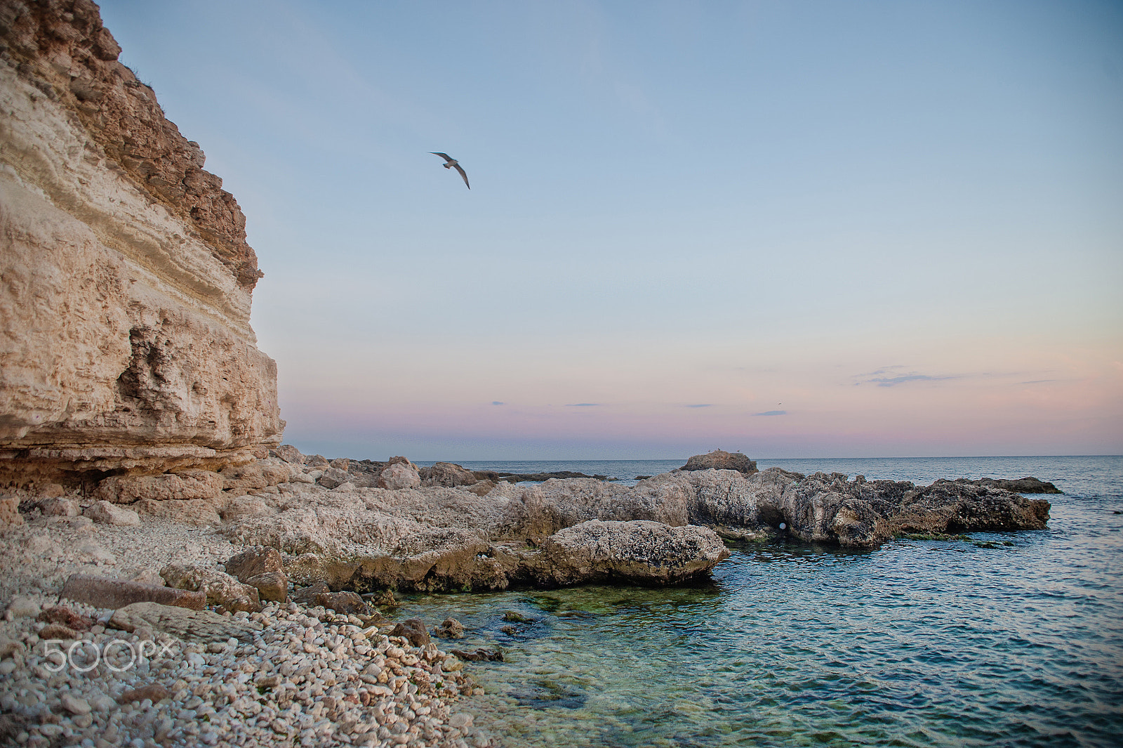 Nikon D700 + Sigma 24-70mm F2.8 EX DG Macro sample photo. Beautiful sunset in mountains and sea. seagull in the sky. photography