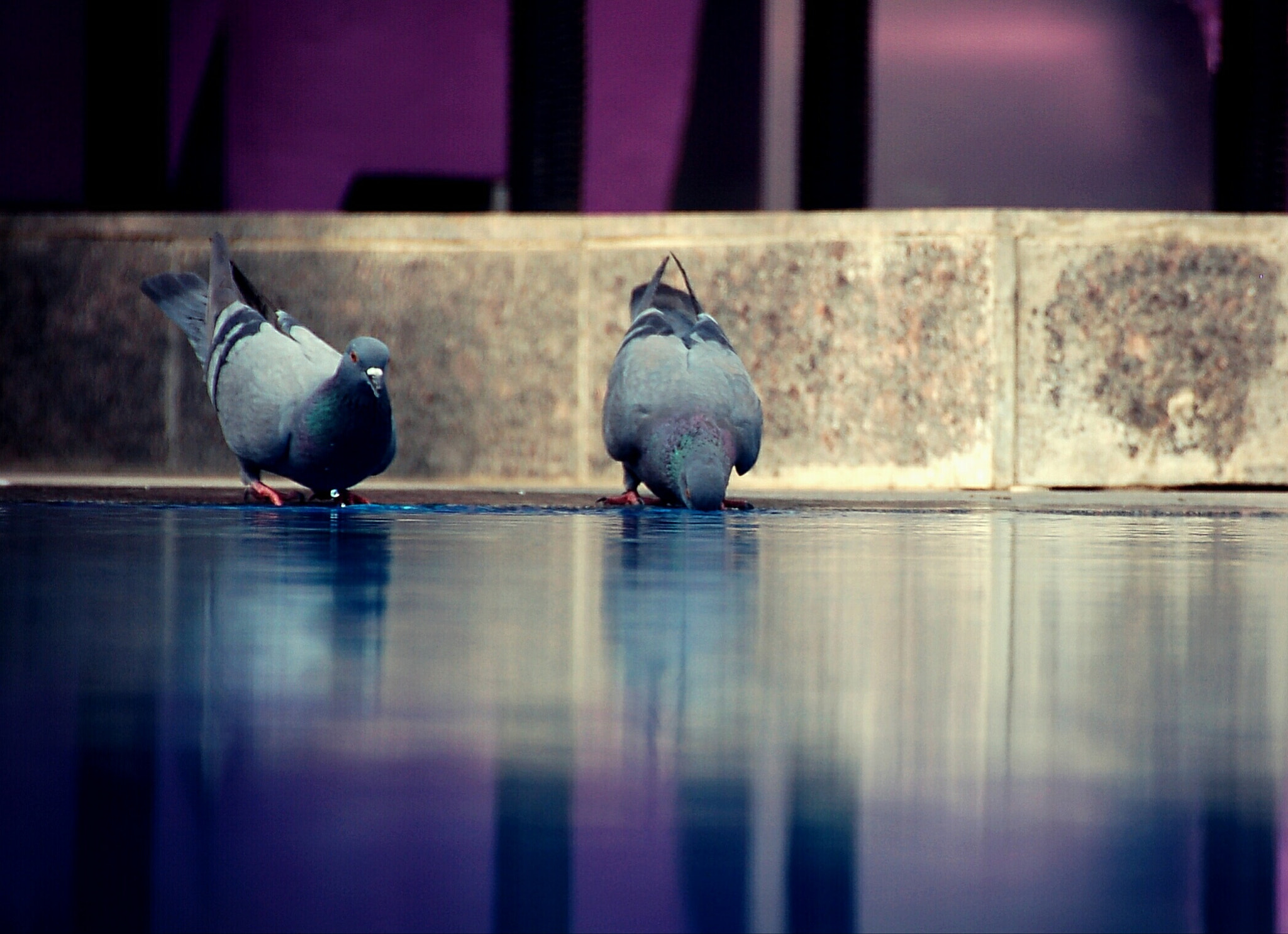 Nikon D50 sample photo. That guy takes pictures?  photography