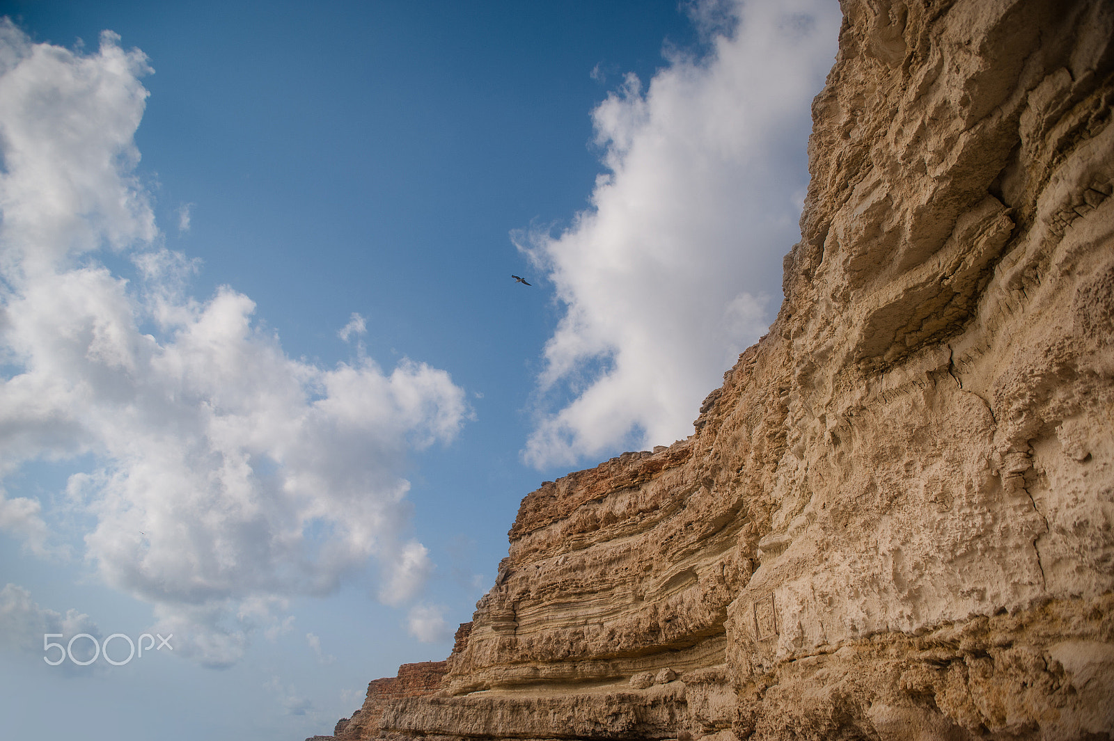 Nikon D700 + Sigma 24-70mm F2.8 EX DG Macro sample photo. Birds flying over mountain. blue cloudy sky and rock. photography