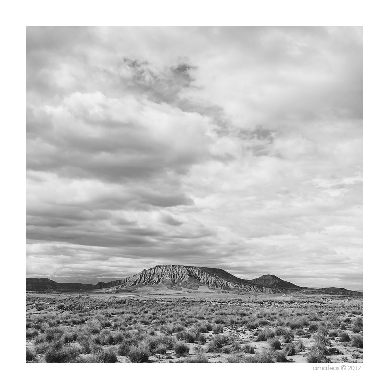 Canon EOS 40D + Canon EF 17-40mm F4L USM sample photo. Bardenas reales (iv) photography