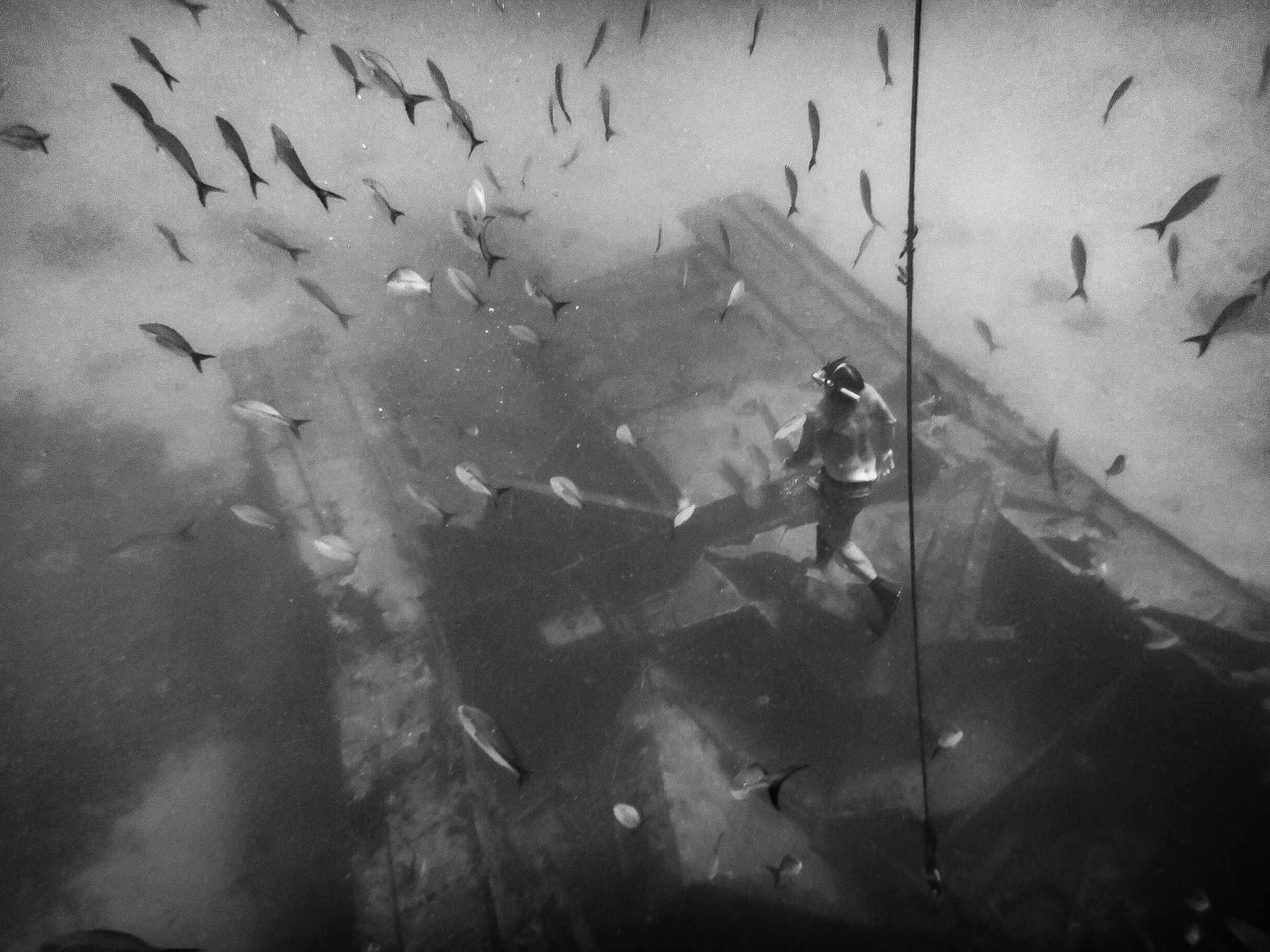 Sony Cyber-shot DSC-TX30 sample photo. Snorkeling the wreck in black and white photography