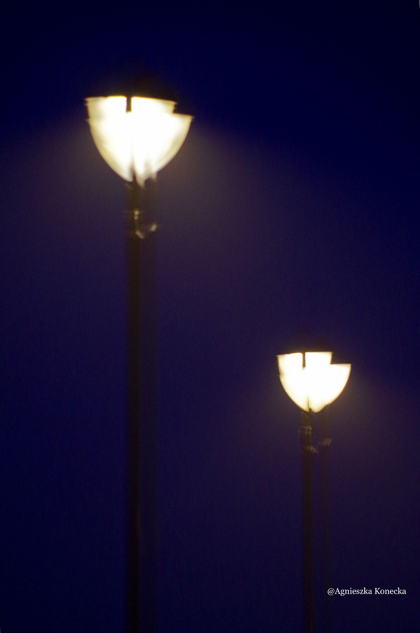 HD Pentax DA 55-300mm F4.0-5.8 ED WR sample photo. Goodnight photography