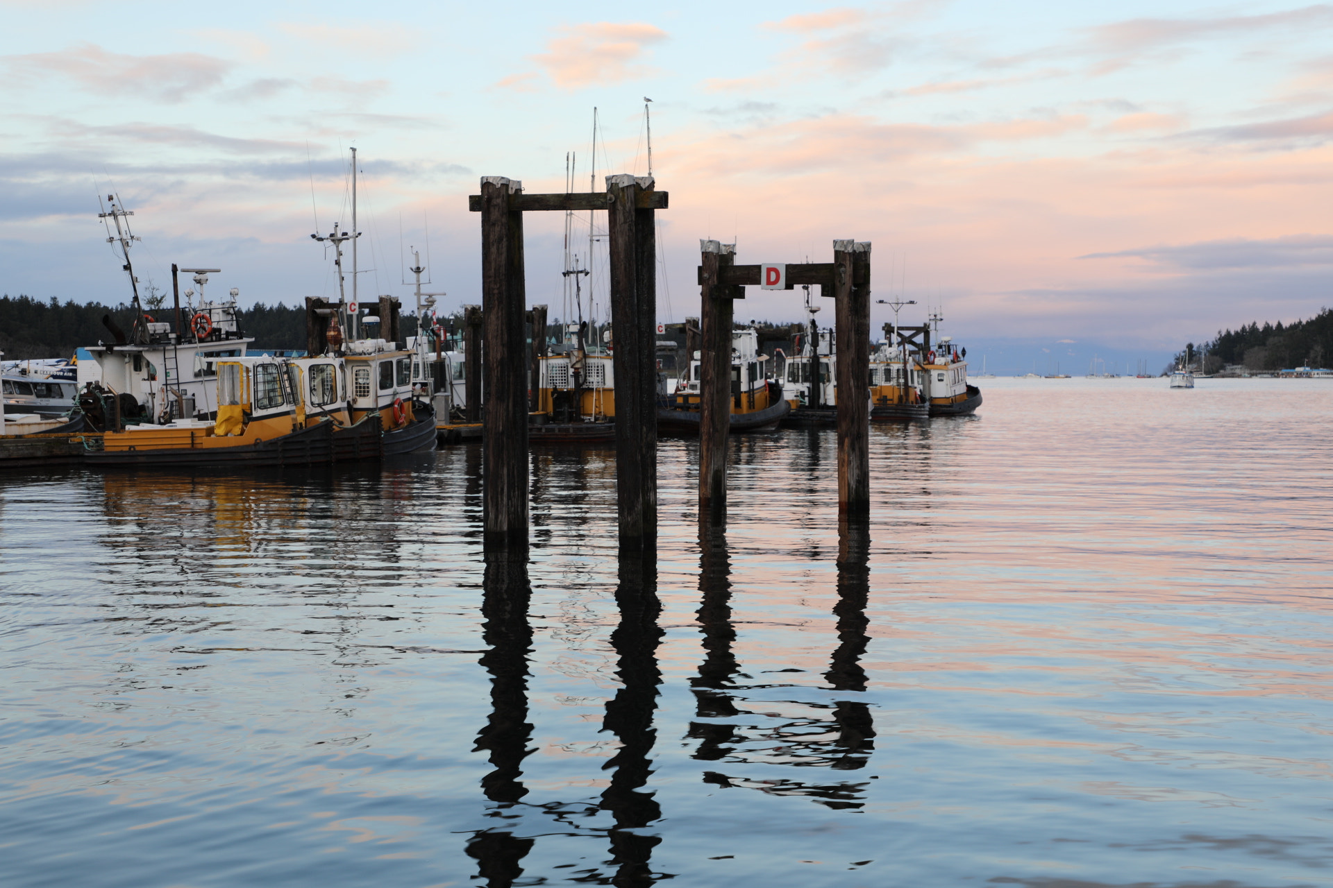 Canon EOS 5D Mark IV sample photo. Tugboats tied up for a winters rest. these hard wo ... photography