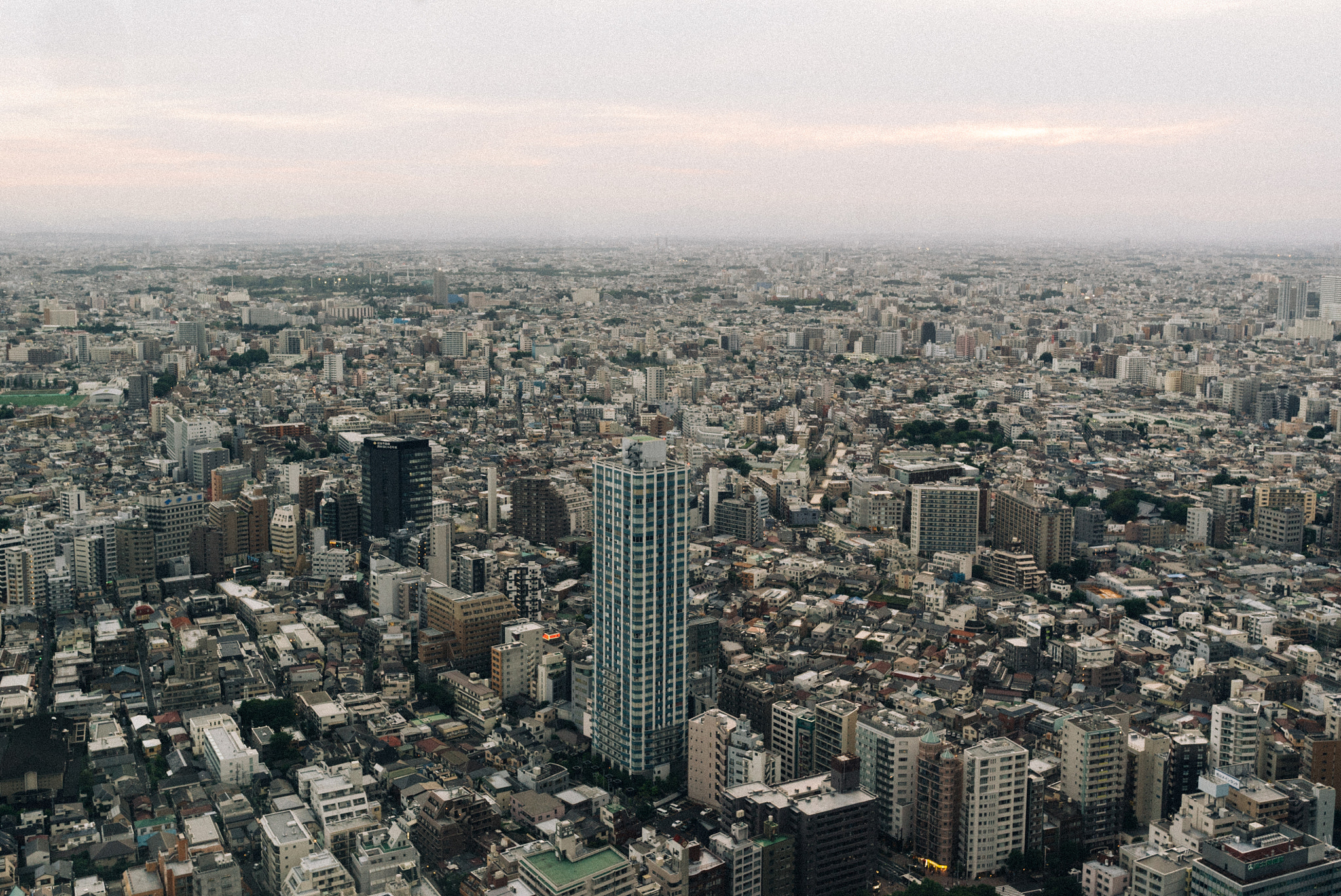 Sony a7S II + Sigma 24-35mm F2 DG HSM Art sample photo. Above shinjuku photography