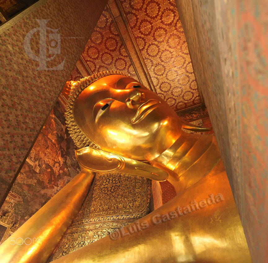 HCD 28 sample photo. Face of the reclining buddha. wat pho. bangkok. thailand photography