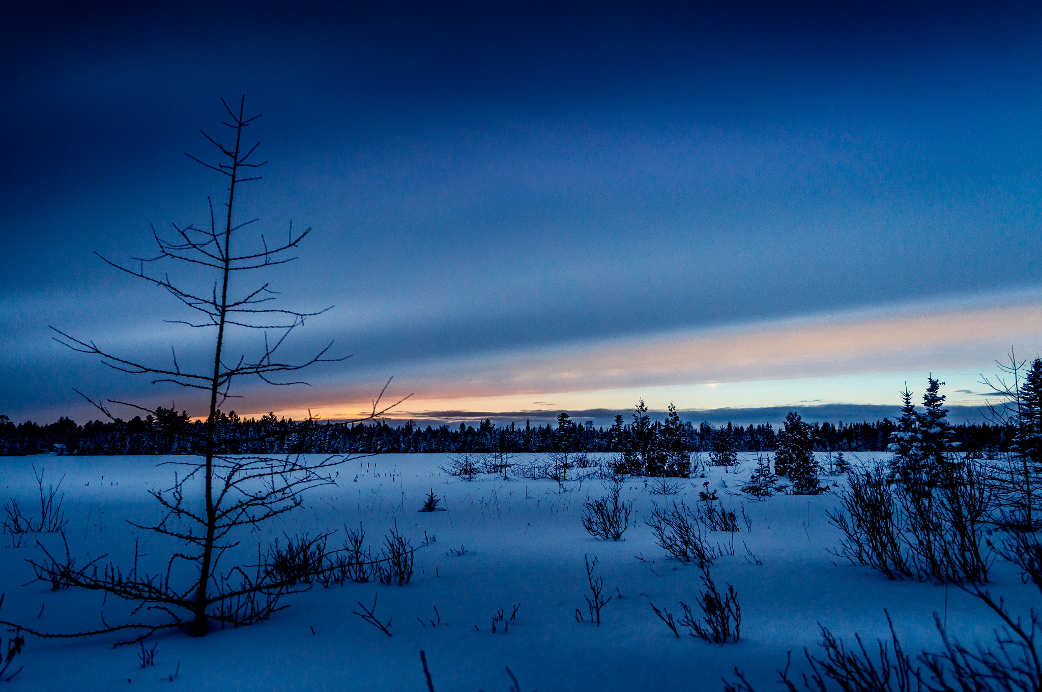 Sony Alpha NEX-C3 + Sony E 18-55mm F3.5-5.6 OSS sample photo. Bog snowy photography
