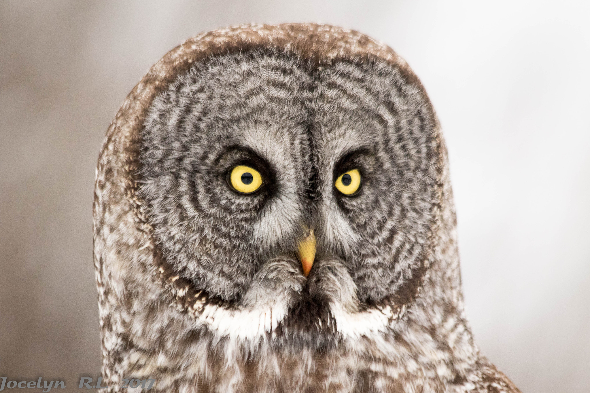 Canon EF 70-300mm F4-5.6 IS USM sample photo. Qa photography