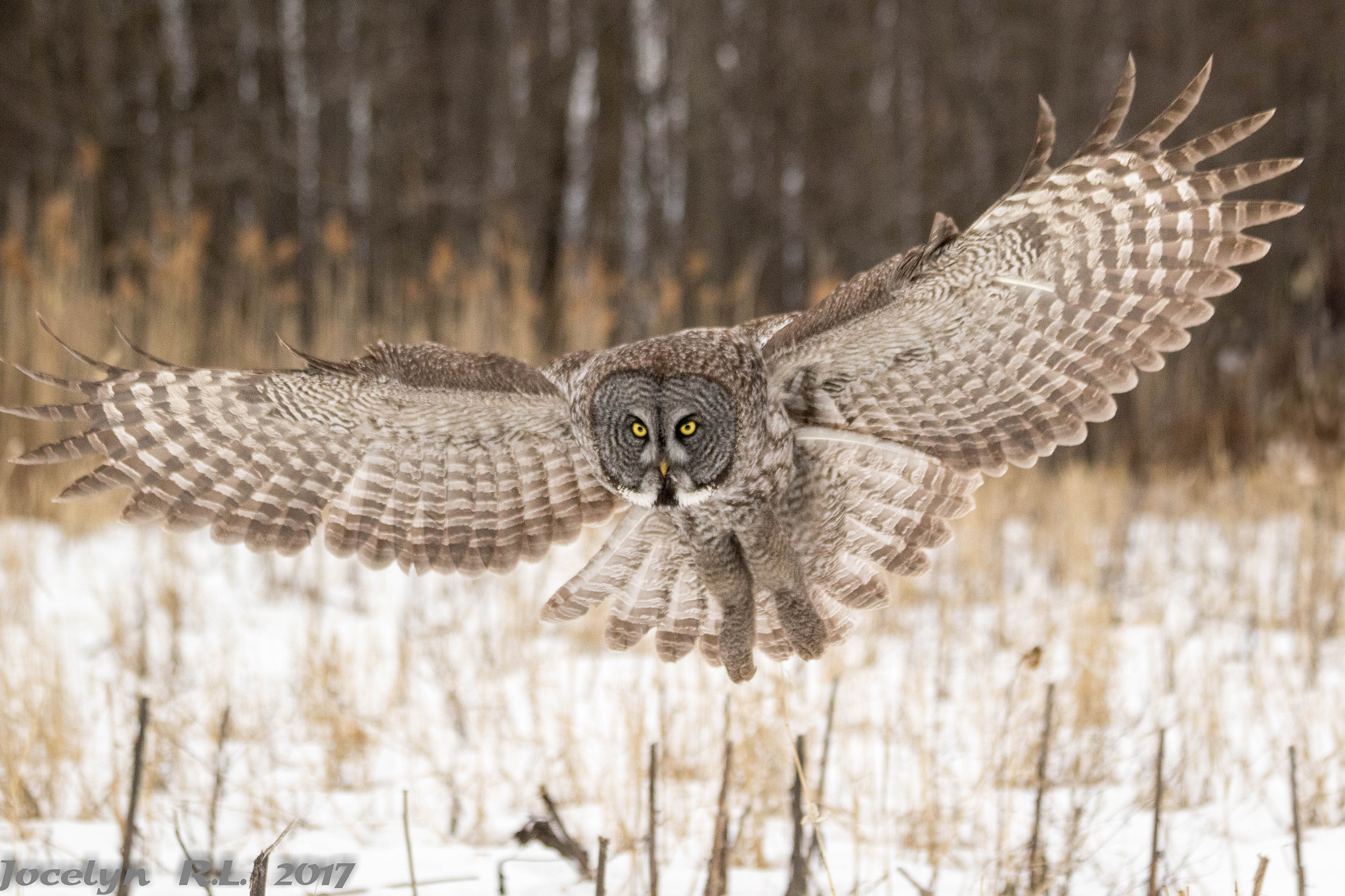 Canon EF 70-300mm F4-5.6 IS USM sample photo. Qa photography