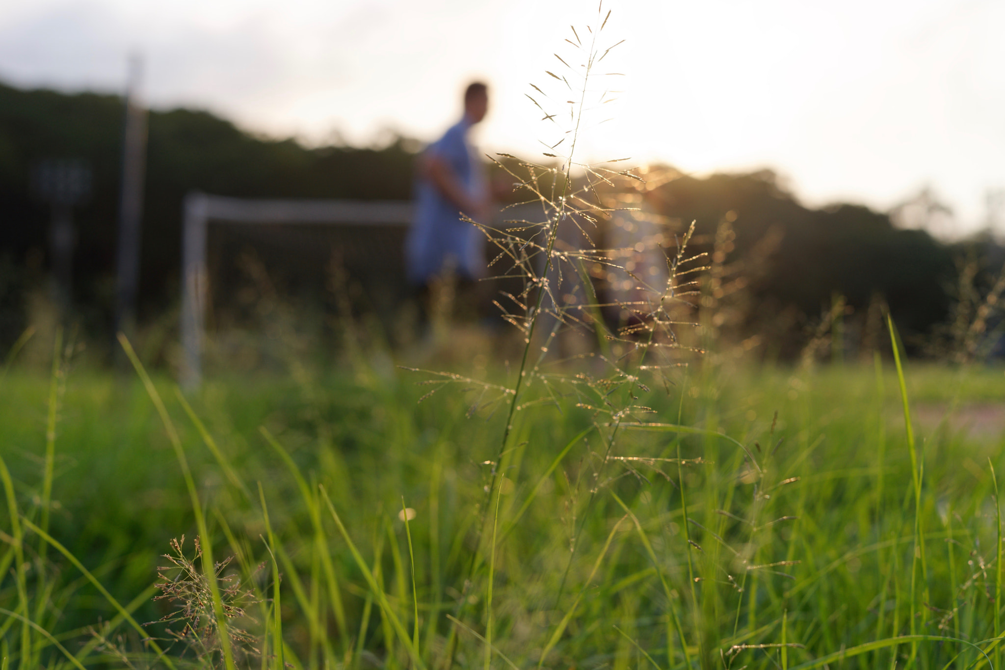 ZEISS Loxia 50mm F2 sample photo. 26576600880.jpg photography