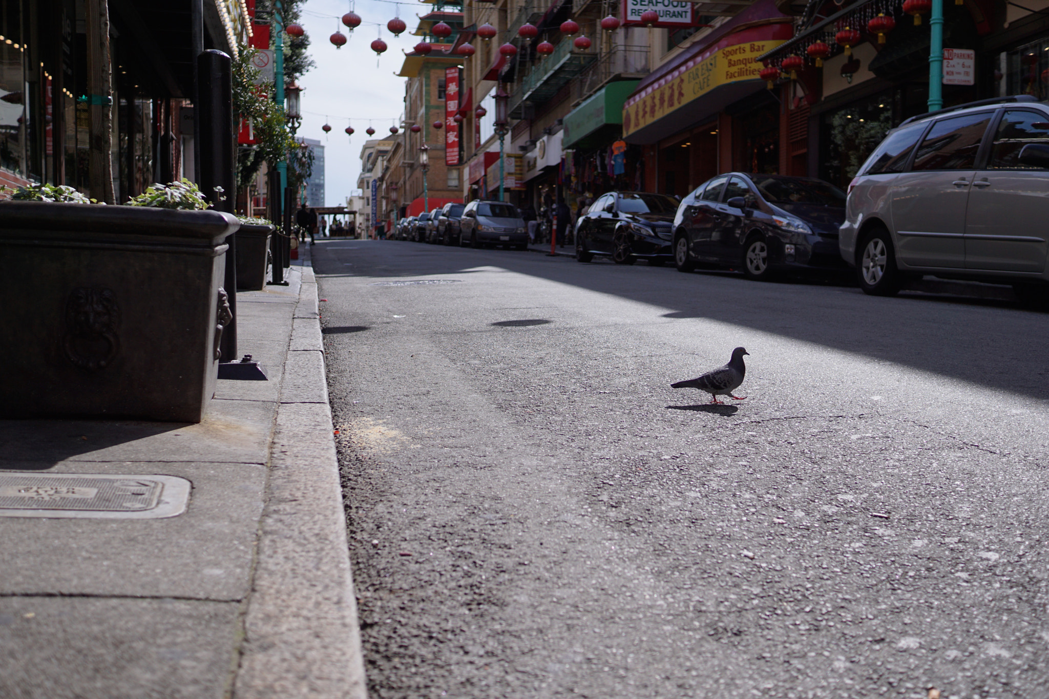 Sony a5100 + Sony Sonnar T* E 24mm F1.8 ZA sample photo. 25358960655.jpg photography