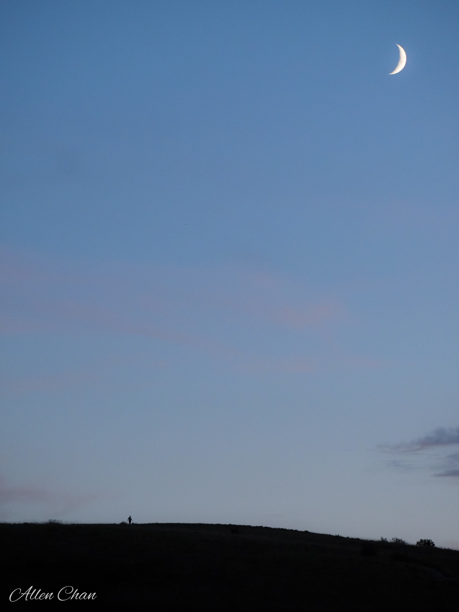 LUMIX G VARIO 45-150/F4.0-5.6 sample photo. Homecoming photography