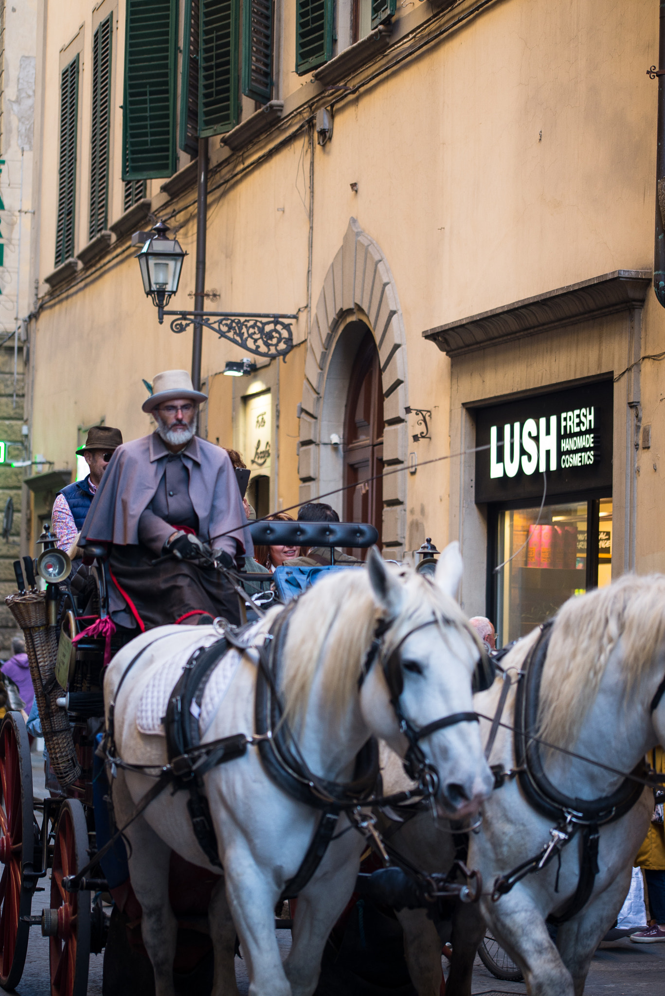 Sigma 105mm F2.8 EX DG OS HSM sample photo. Florence photography