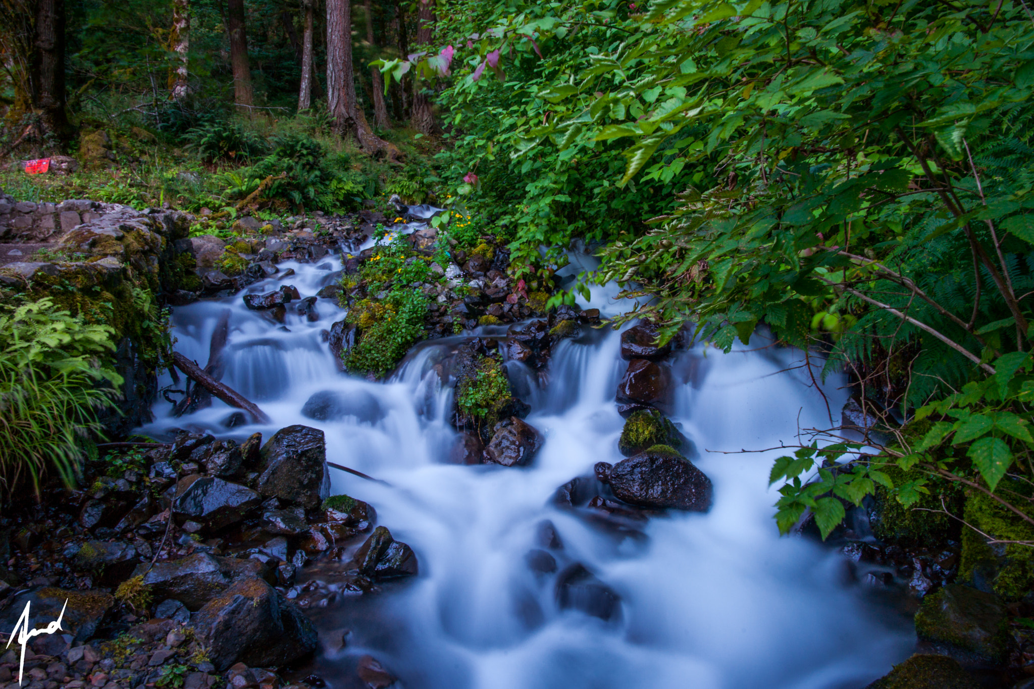 Sony Alpha DSLR-A900 sample photo. Oregons finest photography