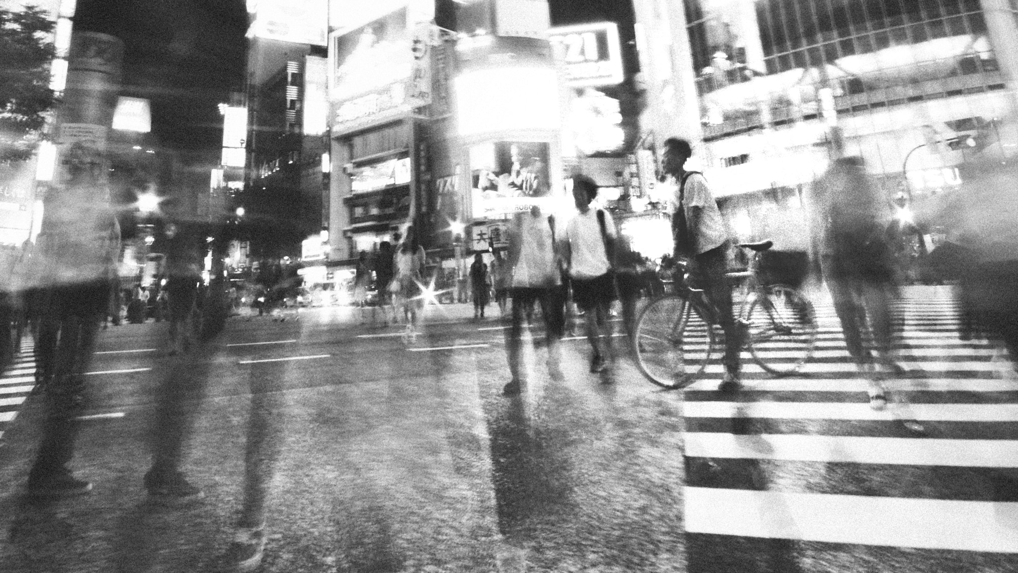 Sigma 10-20mm F4-5.6 EX DC HSM sample photo. Crossing path photography