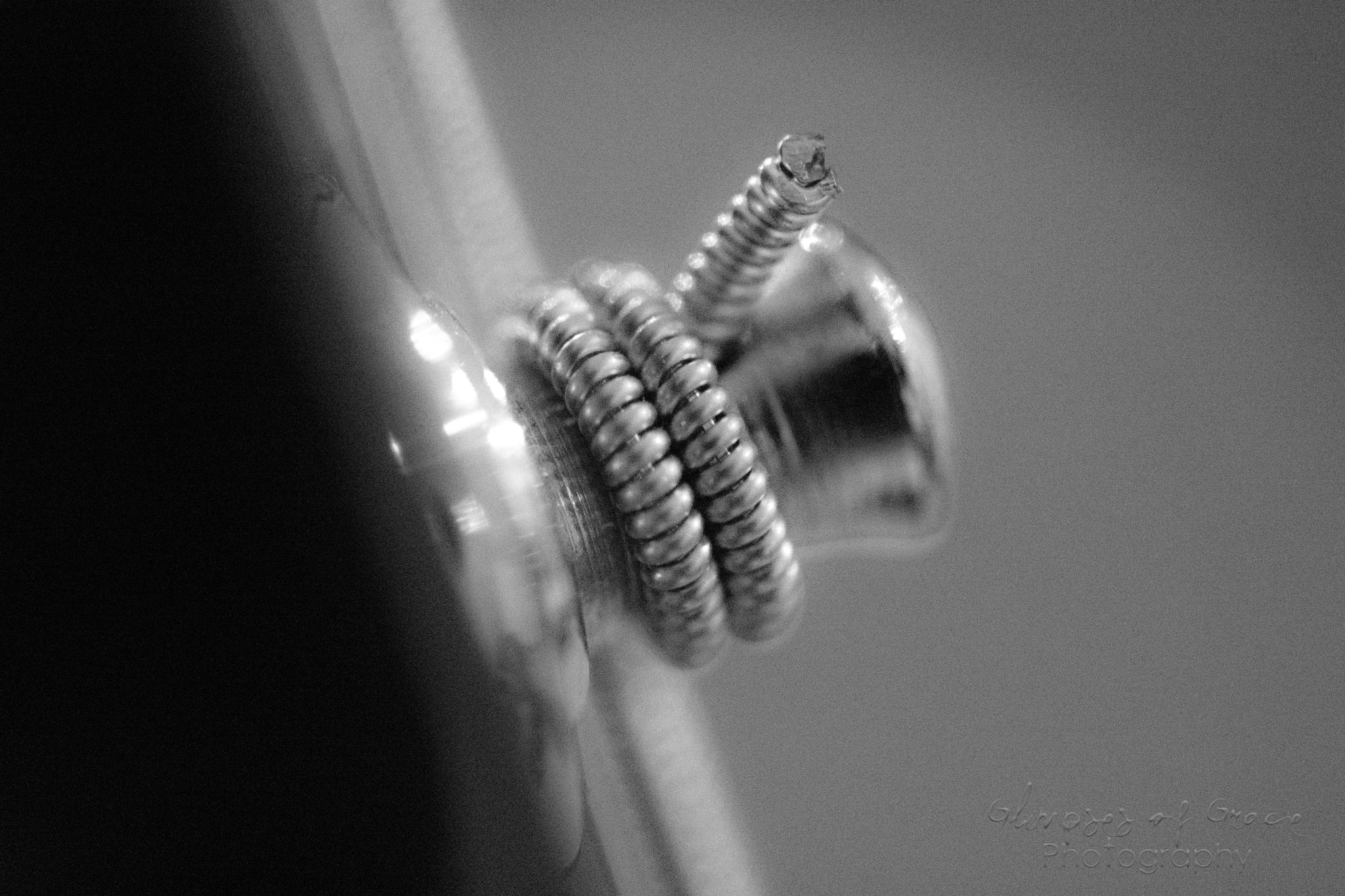 Tokina AT-X Pro 100mm F2.8 Macro sample photo. All wound up photography