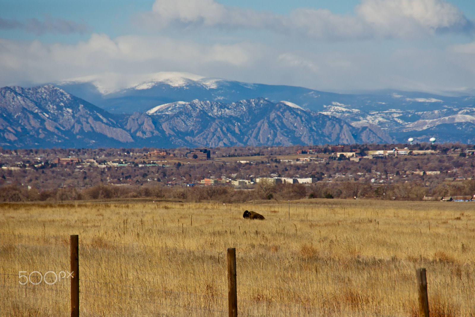 Sony E 18-200mm F3.5-6.3 OSS sample photo. Home on the range photography
