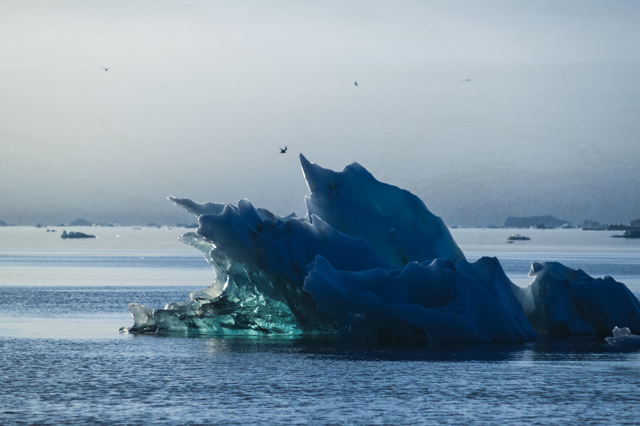 Canon EF-S 55-250mm F4-5.6 IS sample photo. Icebit photography