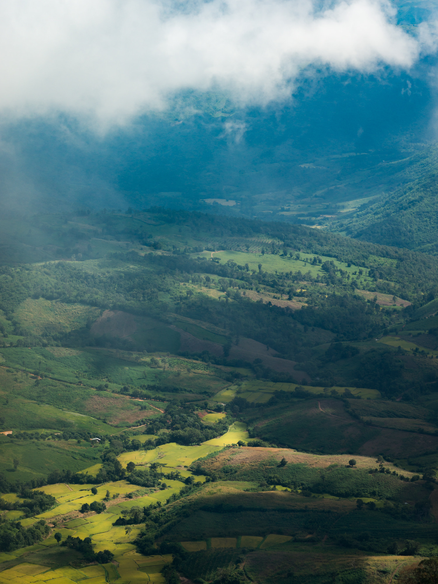 Nikon AF-Nikkor 80-200mm F2.8D ED sample photo. Phu-rue loei / thailand photography