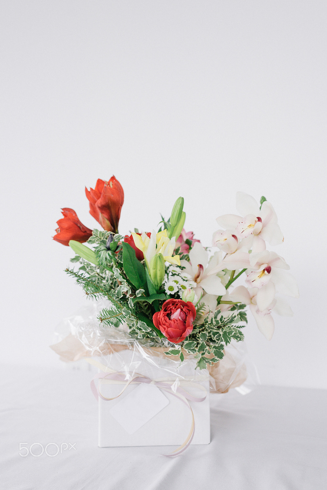 Nikon AF-S Nikkor 35mm F1.4G sample photo. Florals photography