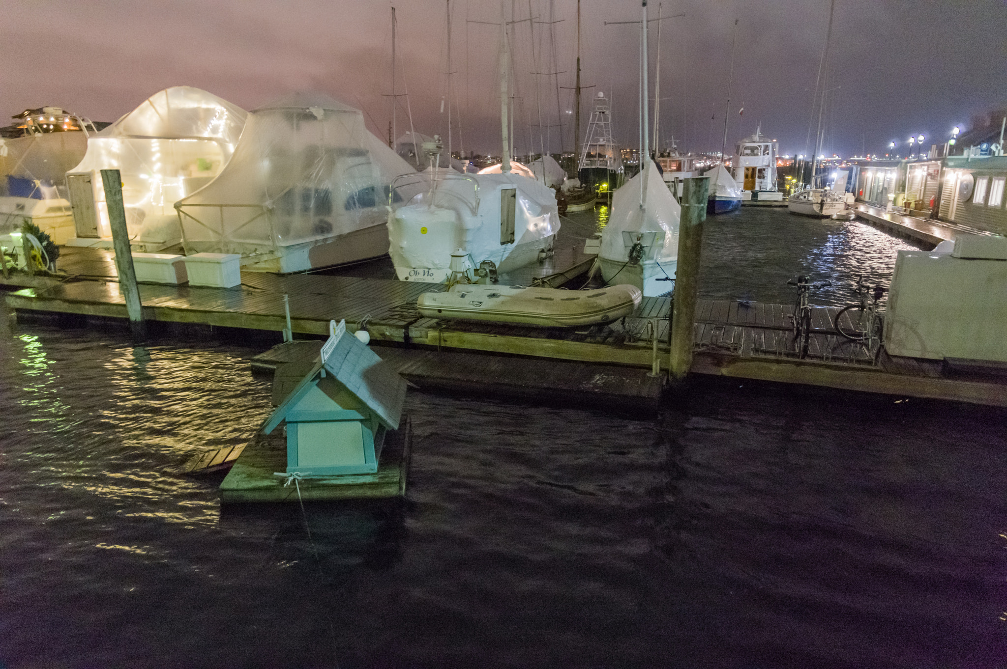 Pentax K-3 II sample photo. Doghouse in storm photography