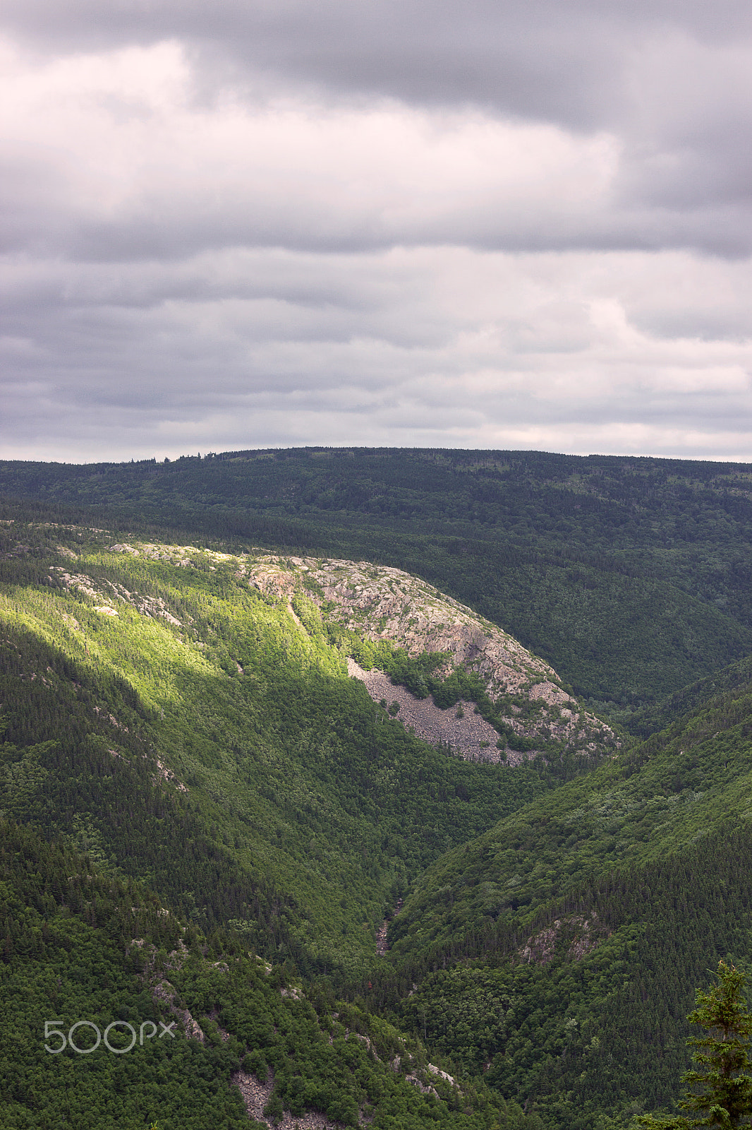 Canon EF 70-200mm F4L IS USM sample photo. Pei photography