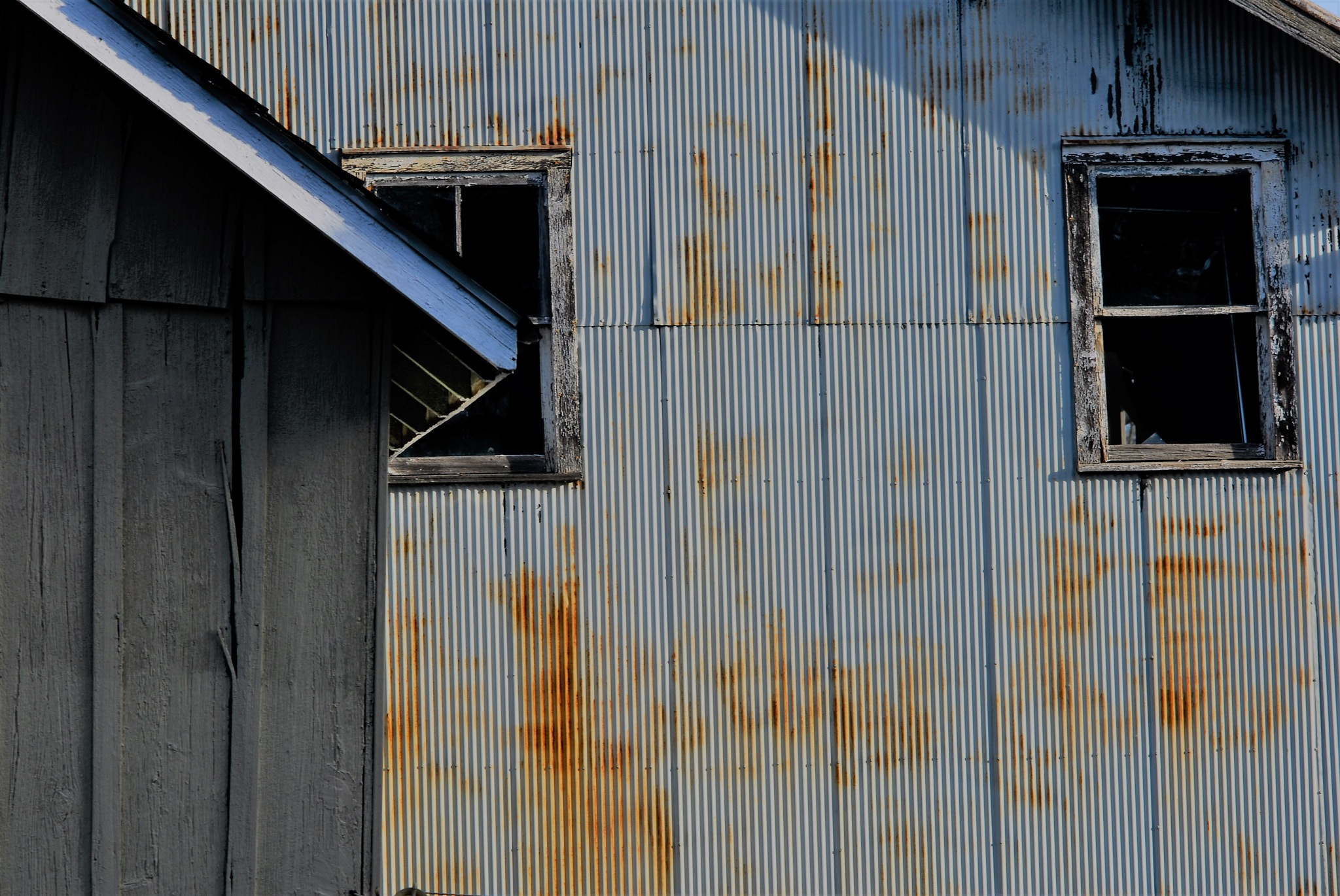 Nikon D200 + Manual Lens No CPU sample photo. View from my back yard photography