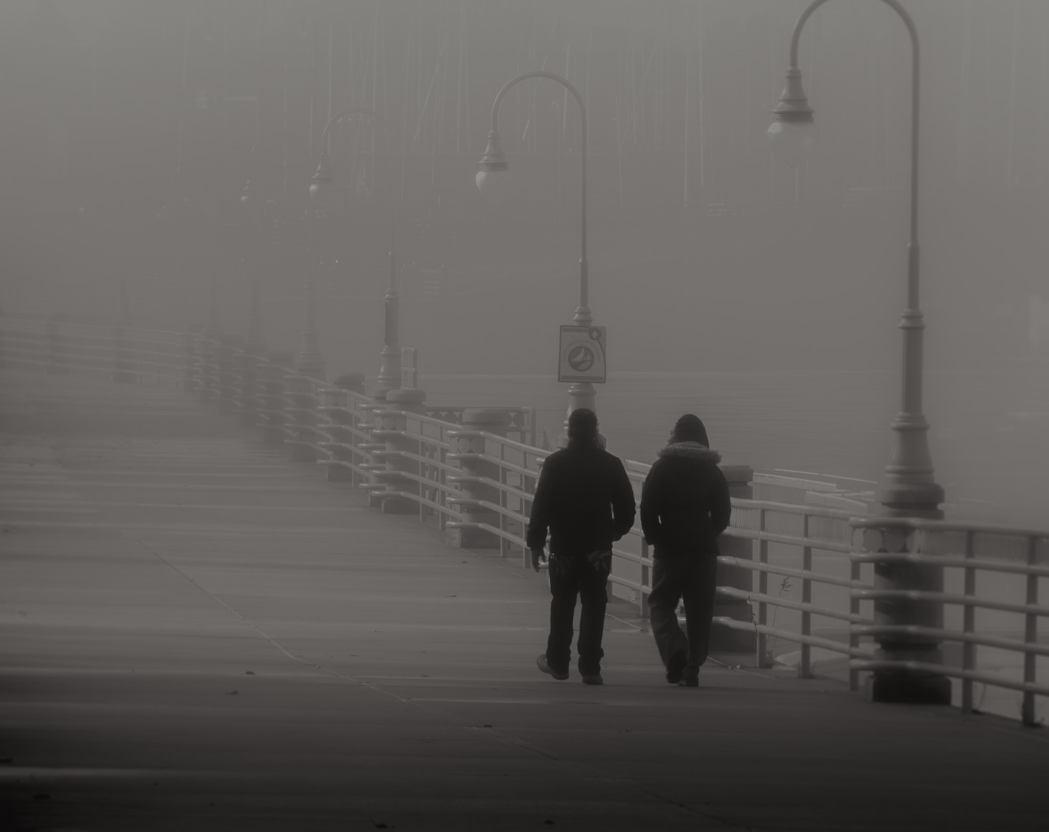 Pentax K-3 sample photo. A stroll in the fog photography