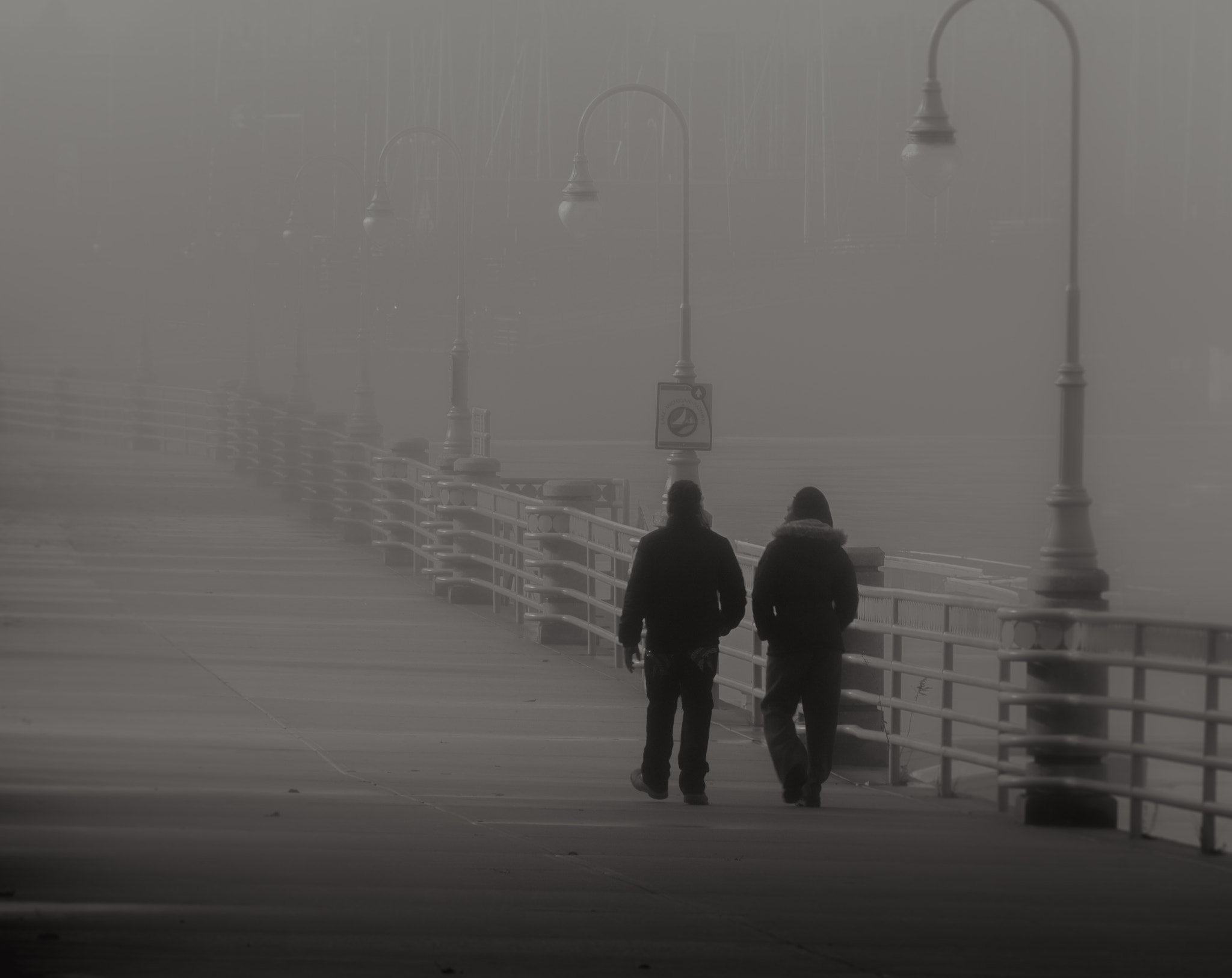 HD Pentax DA 55-300mm F4.0-5.8 ED WR sample photo. A stroll in the fog photography