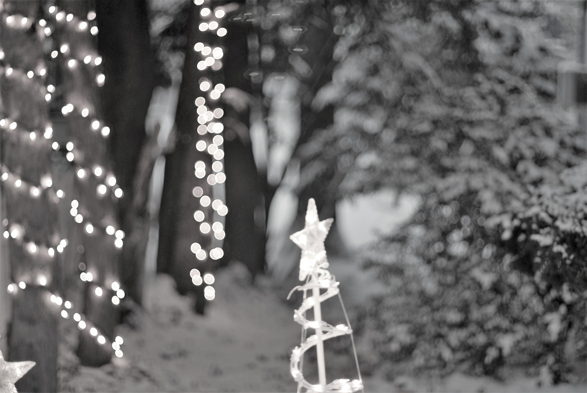 Nikon D200 + Manual Lens No CPU sample photo. Star photography