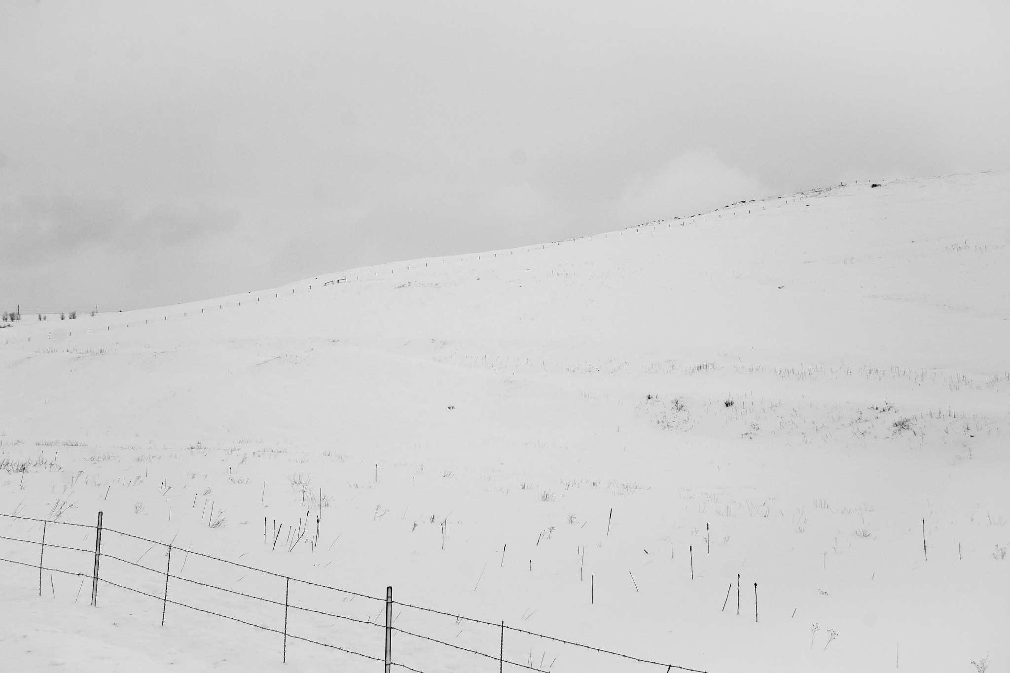 Nikon D40X sample photo. Fences photography