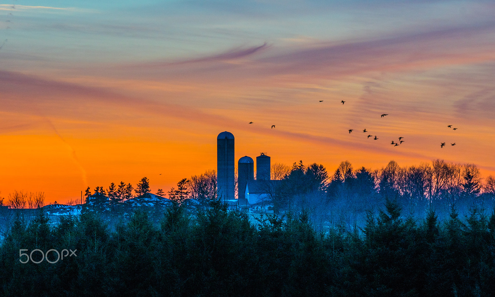 Tamron SP 70-300mm F4-5.6 Di USD sample photo. Sunset in wildwood photography