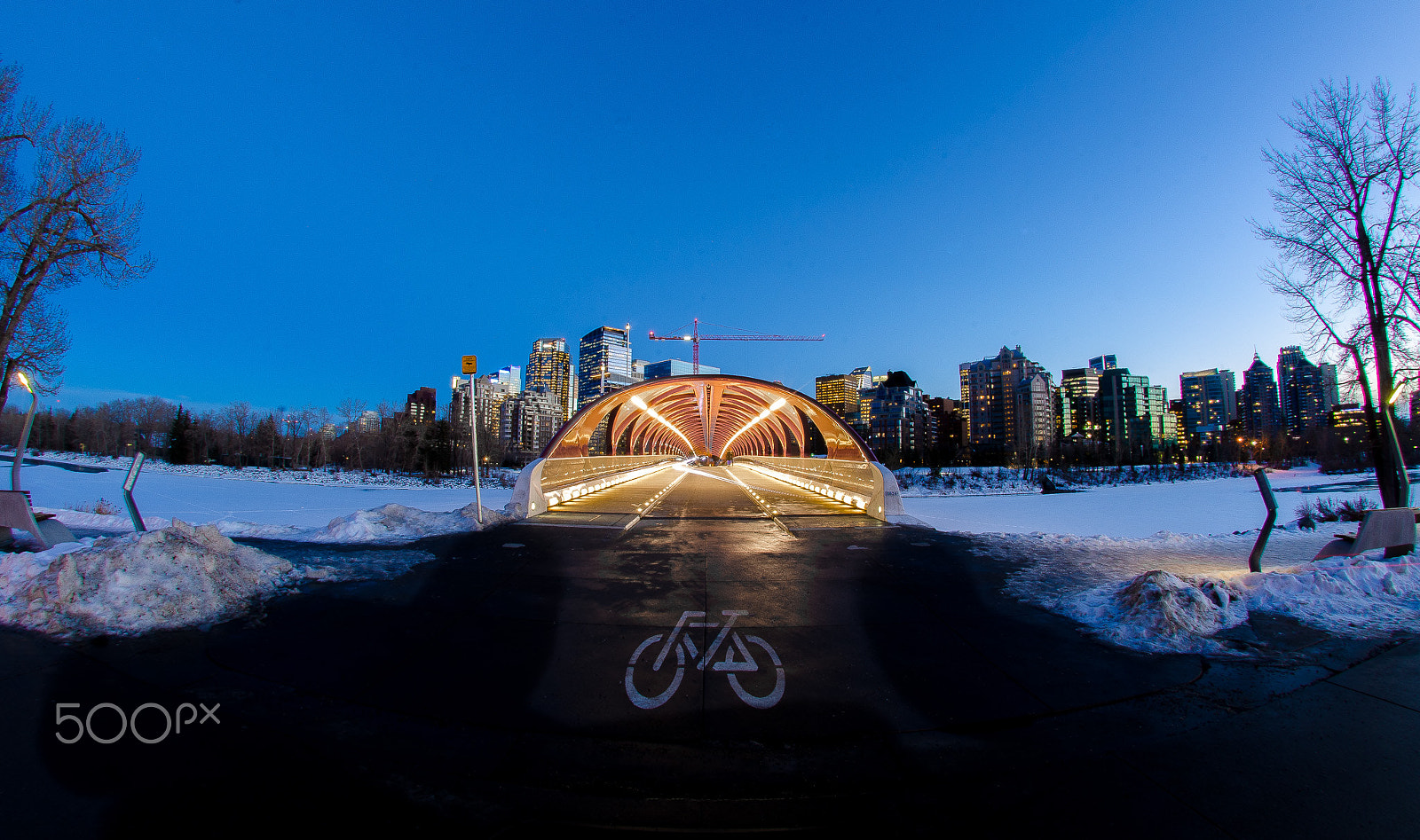 Nikon AF DX Fisheye-Nikkor 10.5mm F2.8G ED sample photo. Peace bridge photography