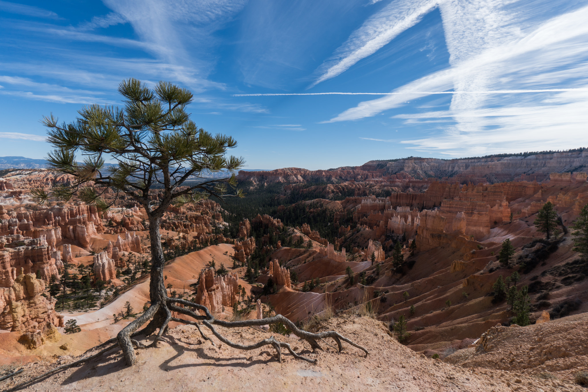 Sony a6300 + Sony E 10-18mm F4 OSS sample photo. Bryce canyon photography