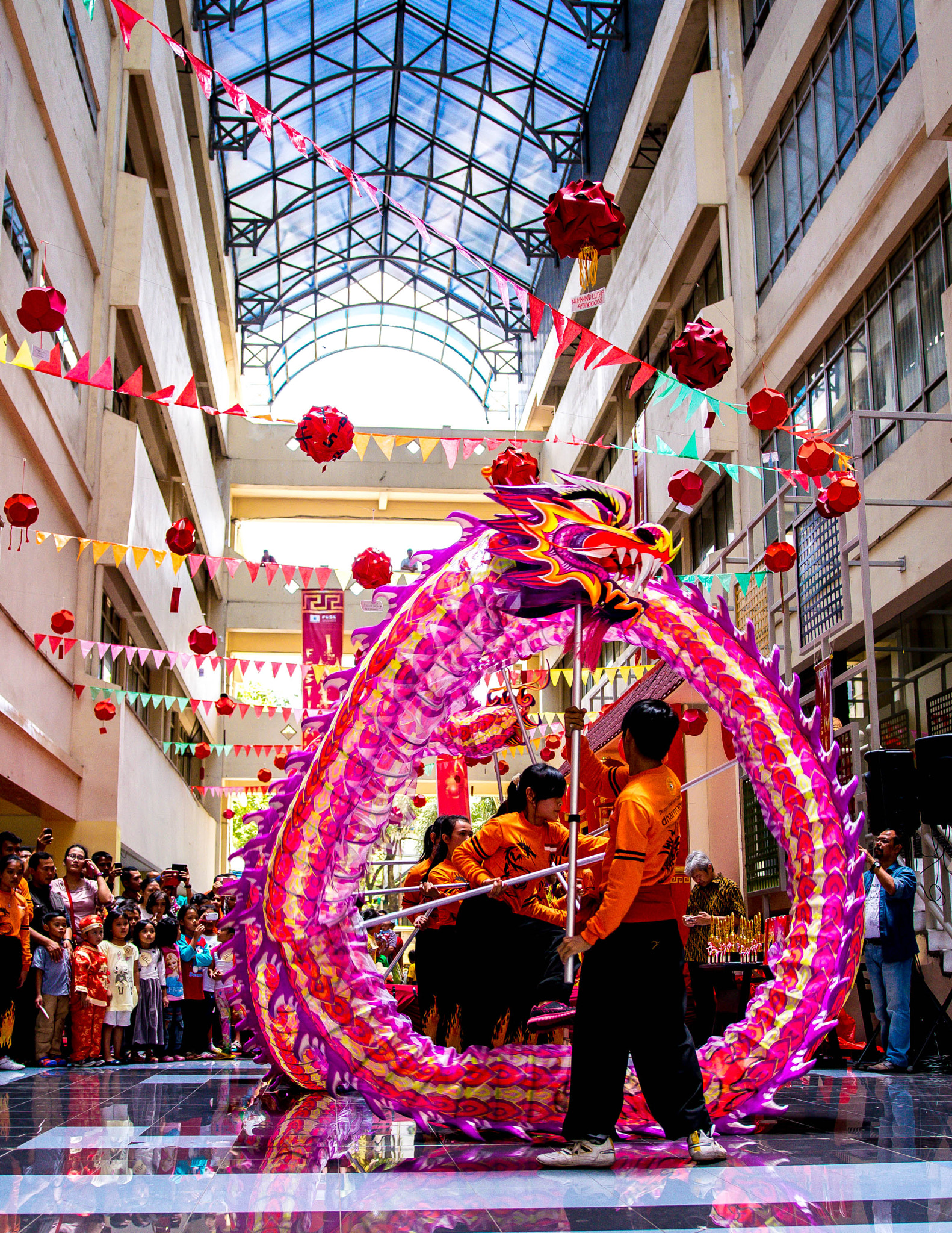 Nikon D3300 + Sigma 18-35mm F1.8 DC HSM Art sample photo. Dragon dance photography