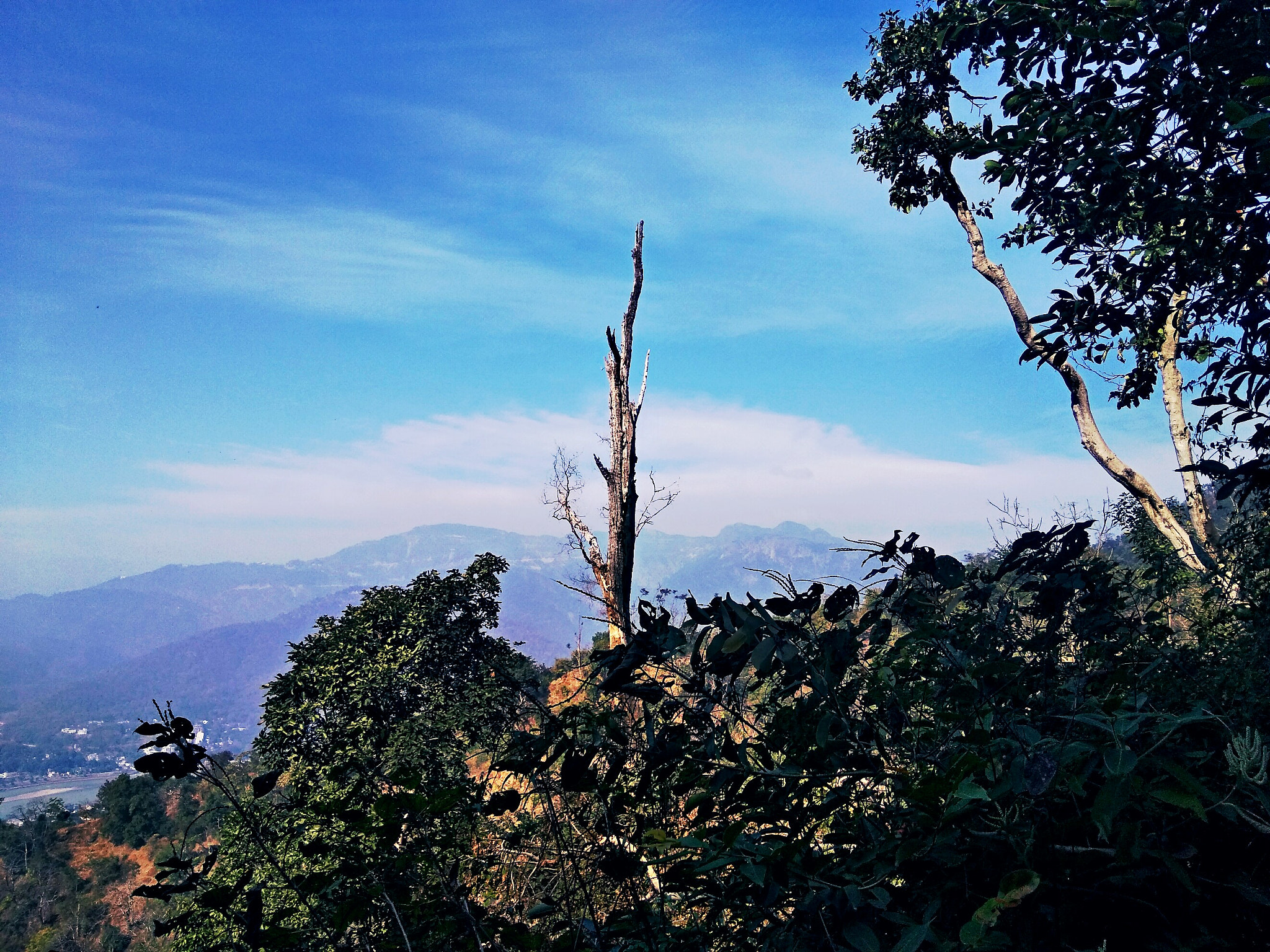 LeMobile Le X526 sample photo. Indian forests photography