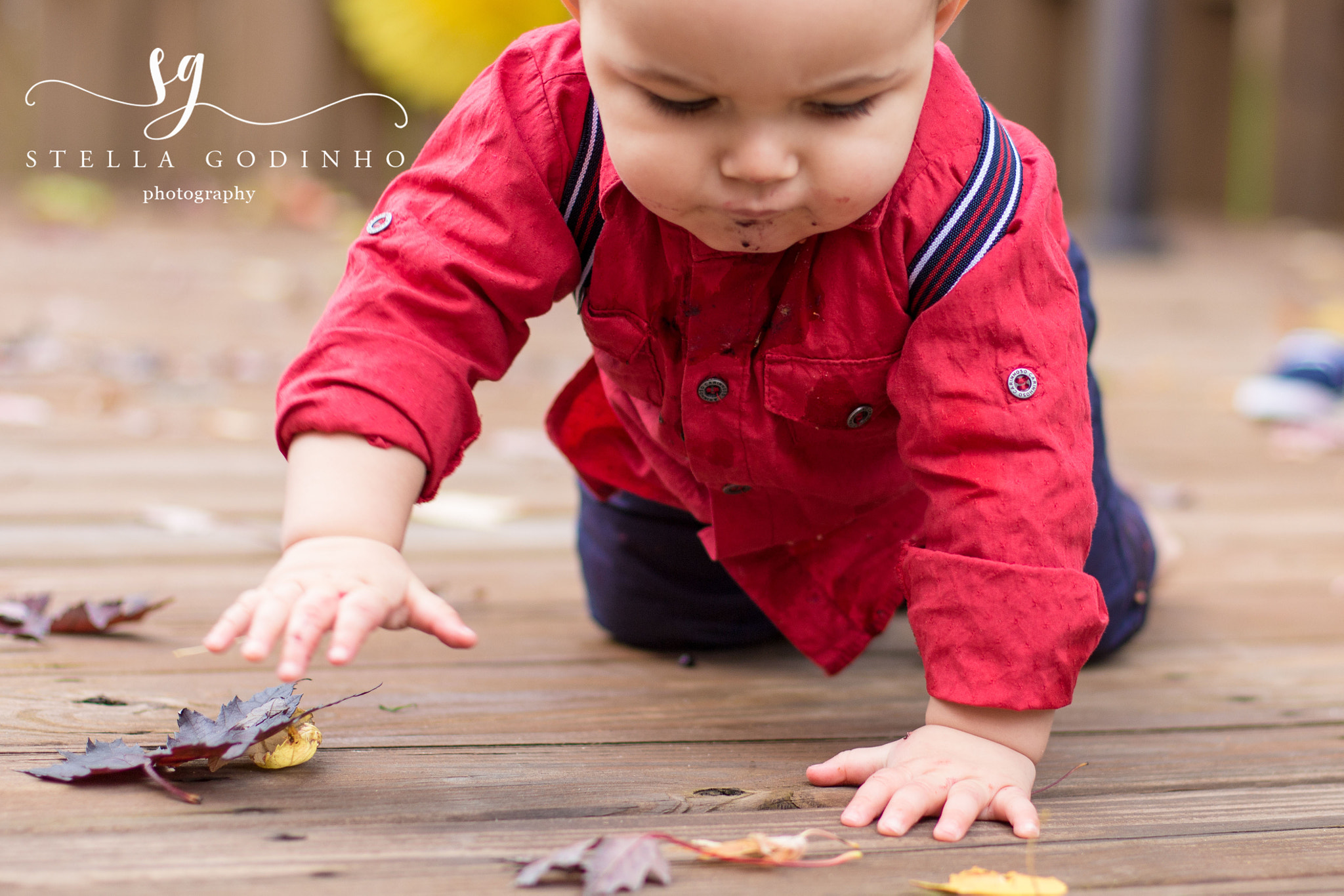 Canon EF 50mm F1.4 USM sample photo. Img photography