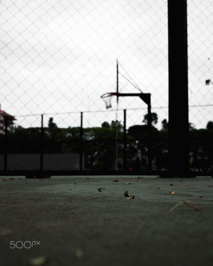 Canon EF-S 24mm F2.8 STM sample photo. Lap baz photography
