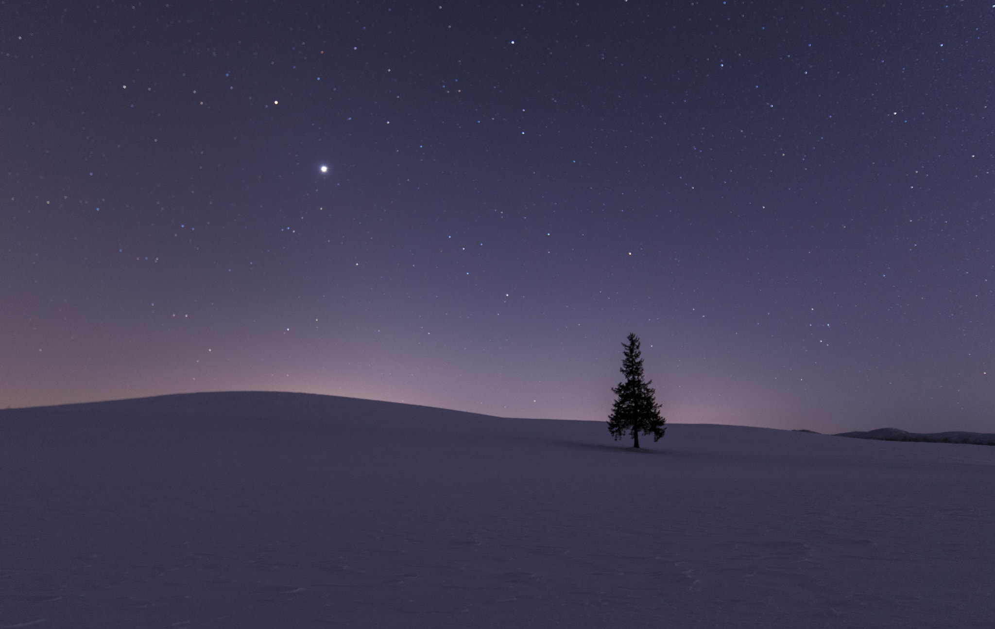 Nikon D610 sample photo. Starry sky in hokkaido christmas tree photography
