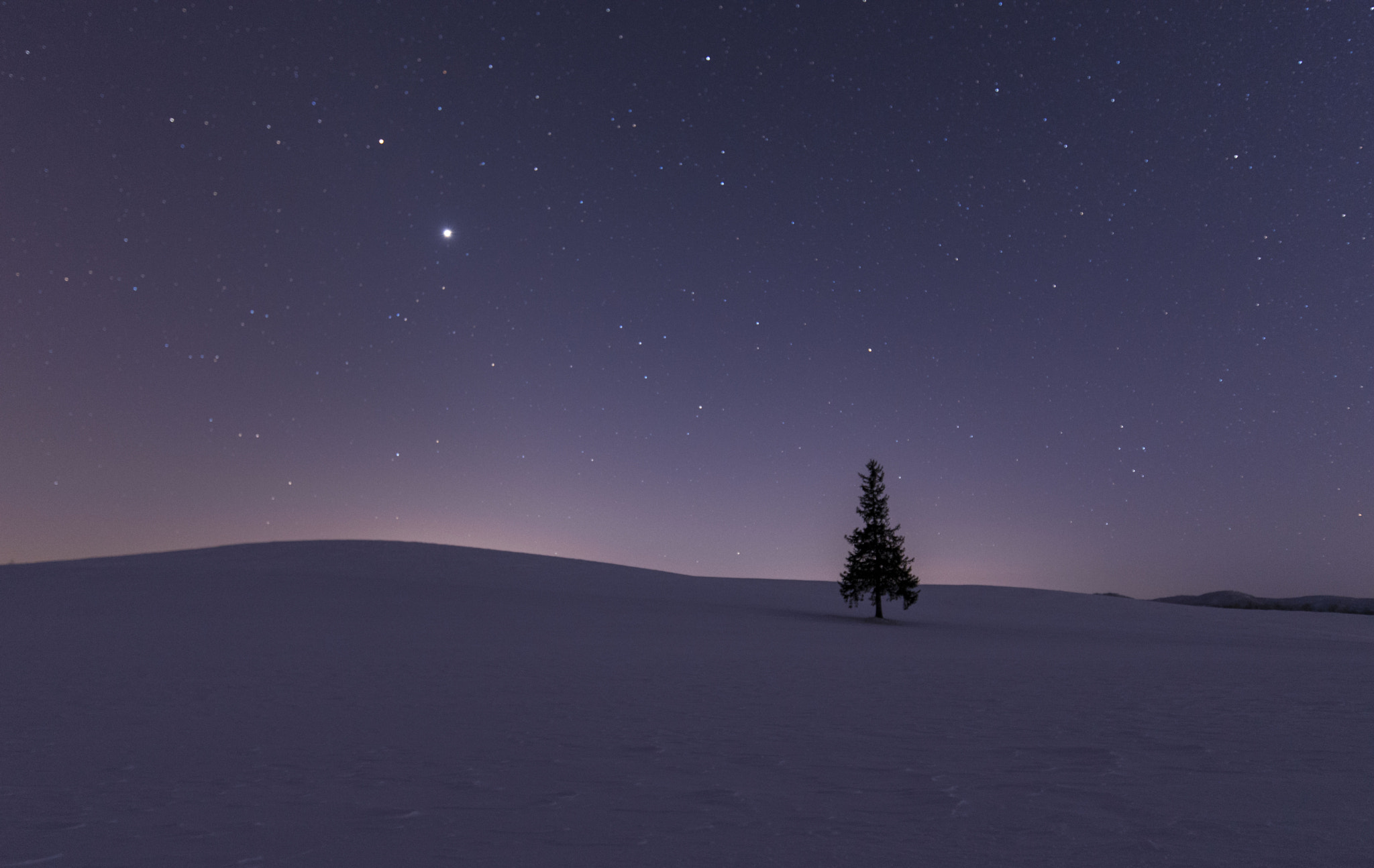 Tamron SP 15-30mm F2.8 Di VC USD sample photo. Starry sky in hokkaido christmas tree photography