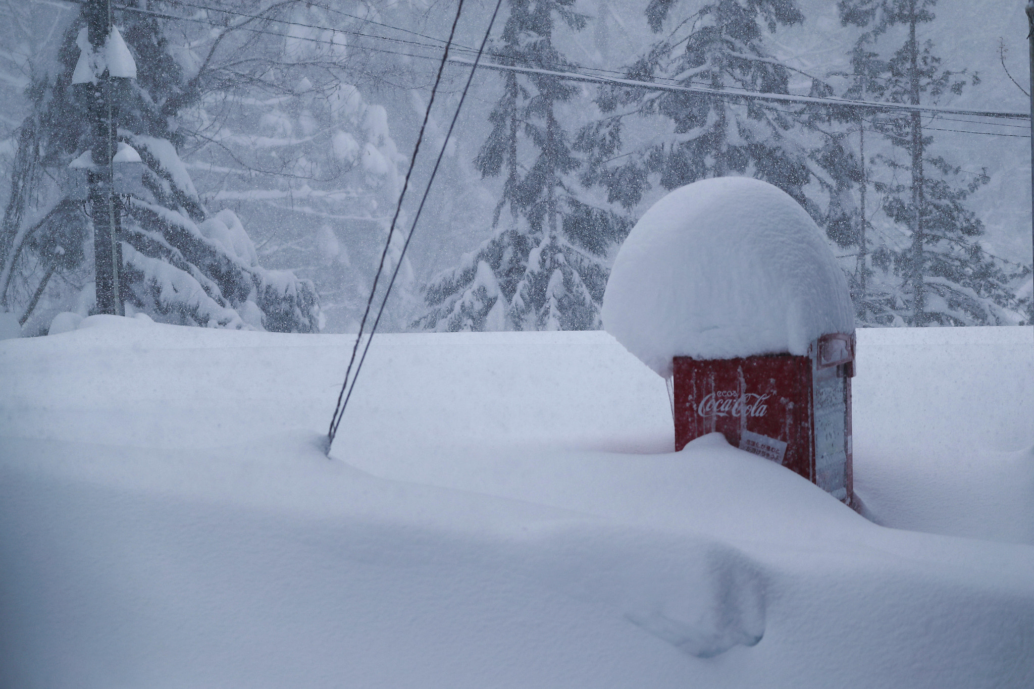 Canon EOS-1D X Mark II sample photo. Heavy snow photography